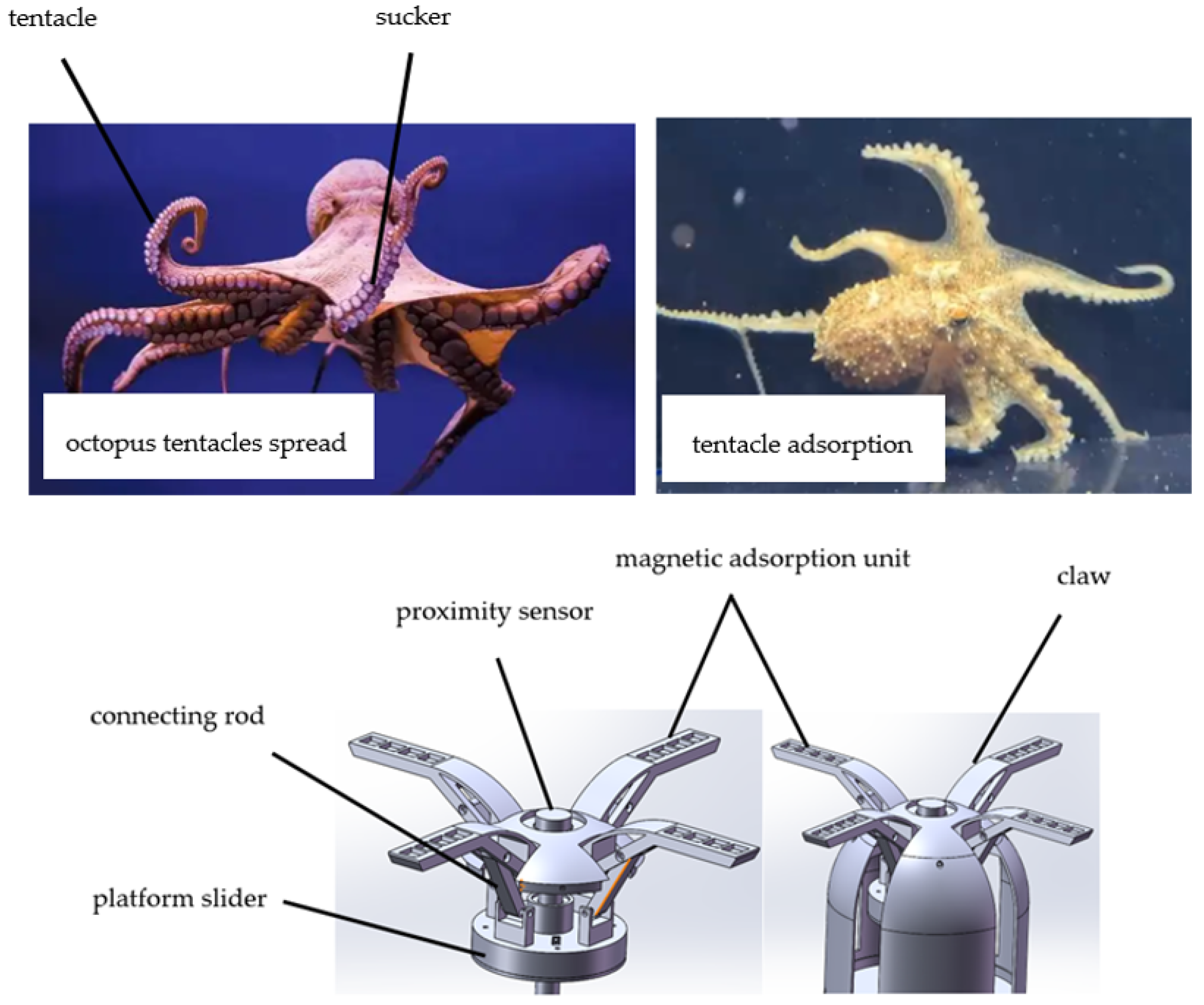 Applsci 14 02250 g002 Applsci 14 02250 g002