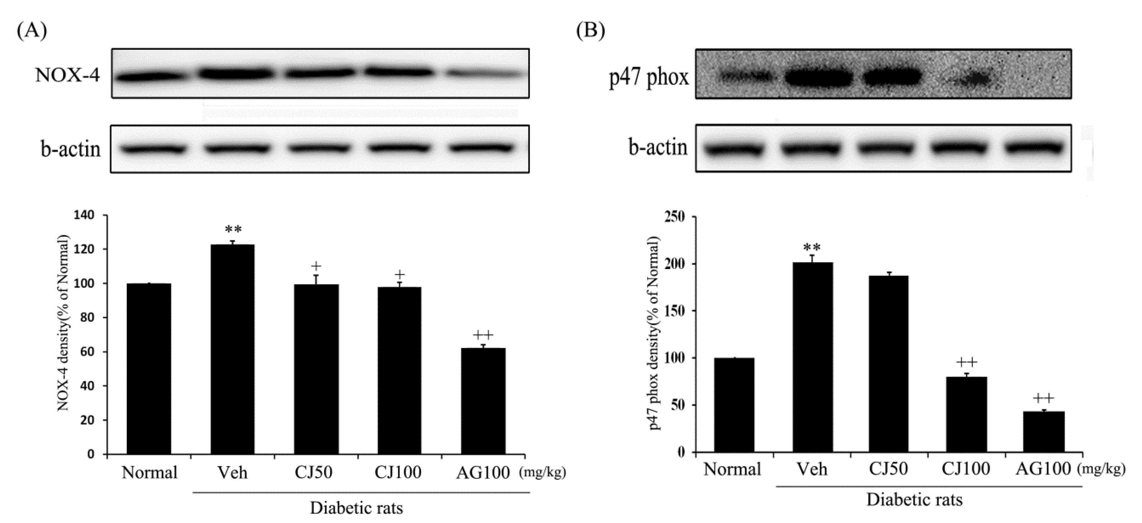 Applsci 14 02266 g005