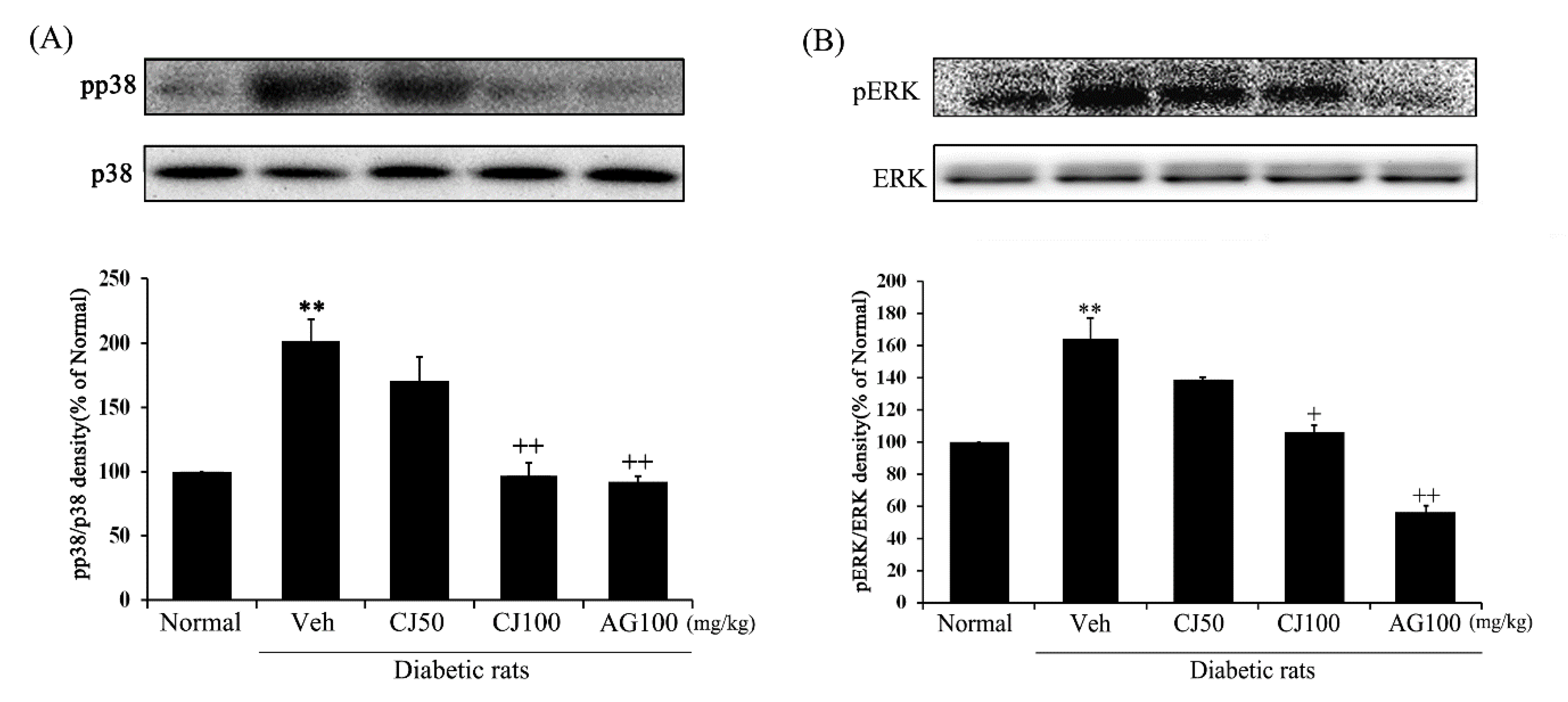 Applsci 14 02266 g007