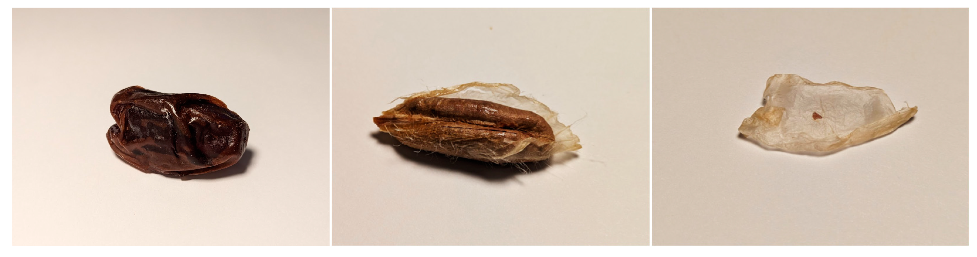 Applsci 14 02346 g002