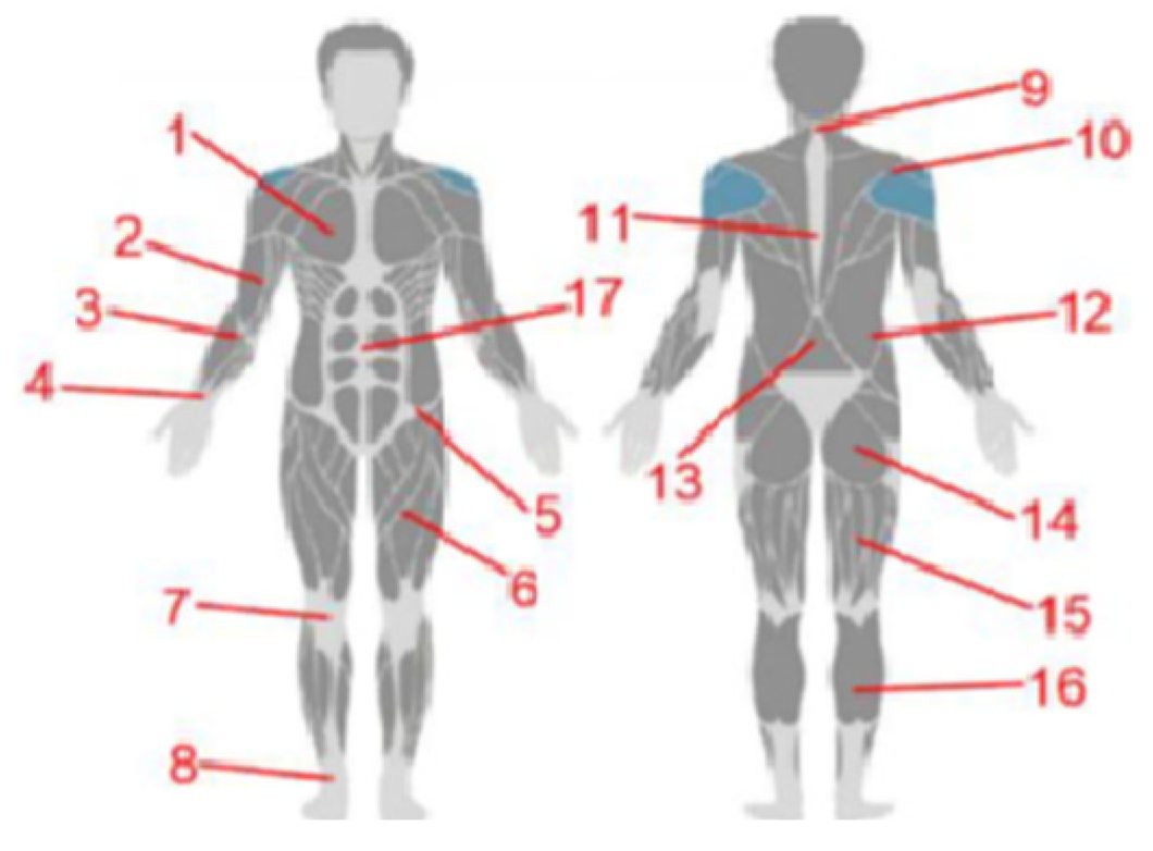 Applsci 14 02398 g003