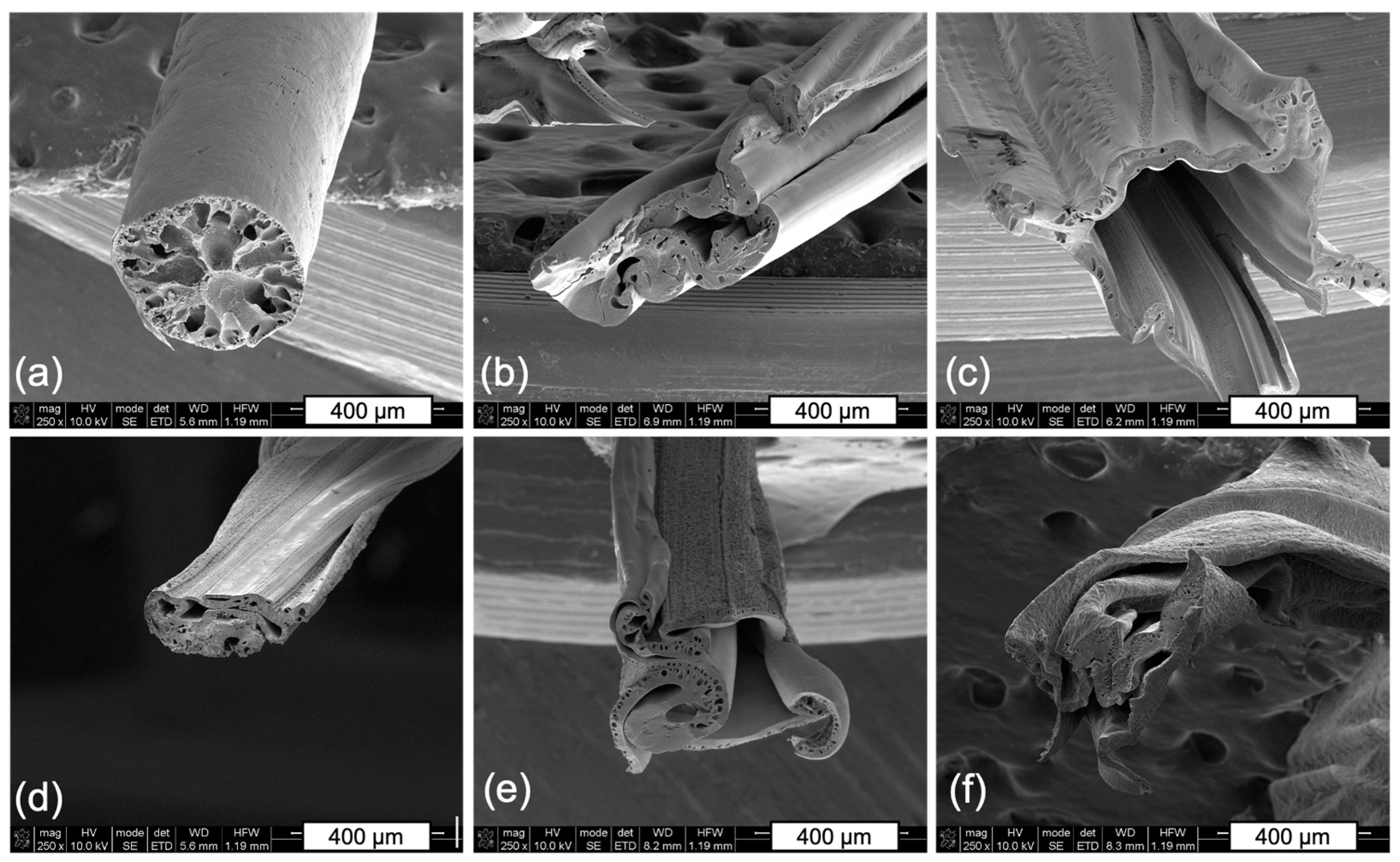 Applsci 14 02473 g009