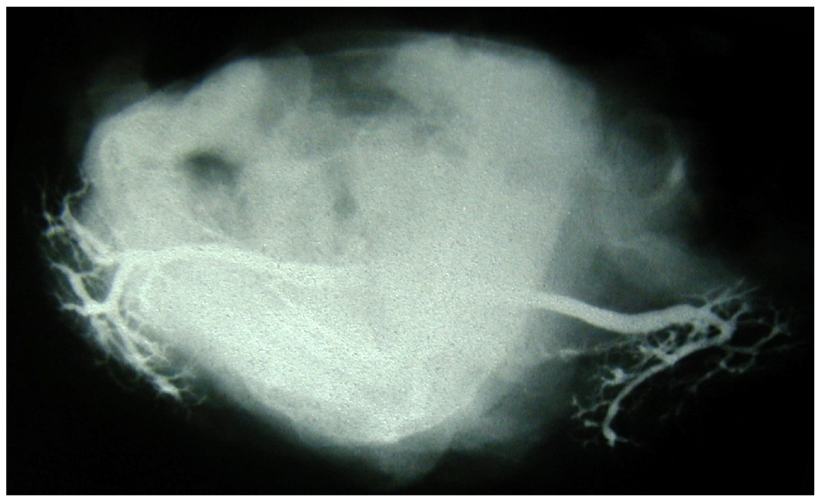 Applsci 14 02474 g002