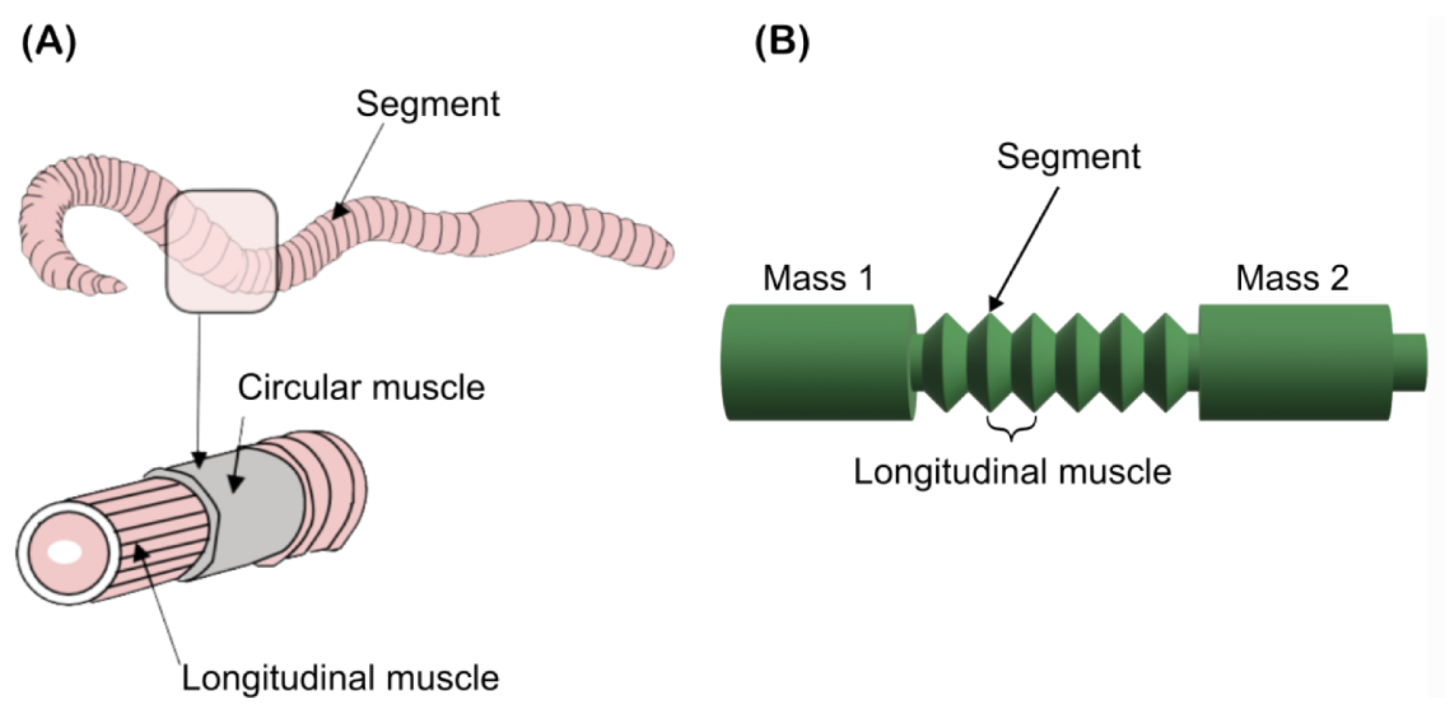 Applsci 14 02552 g013