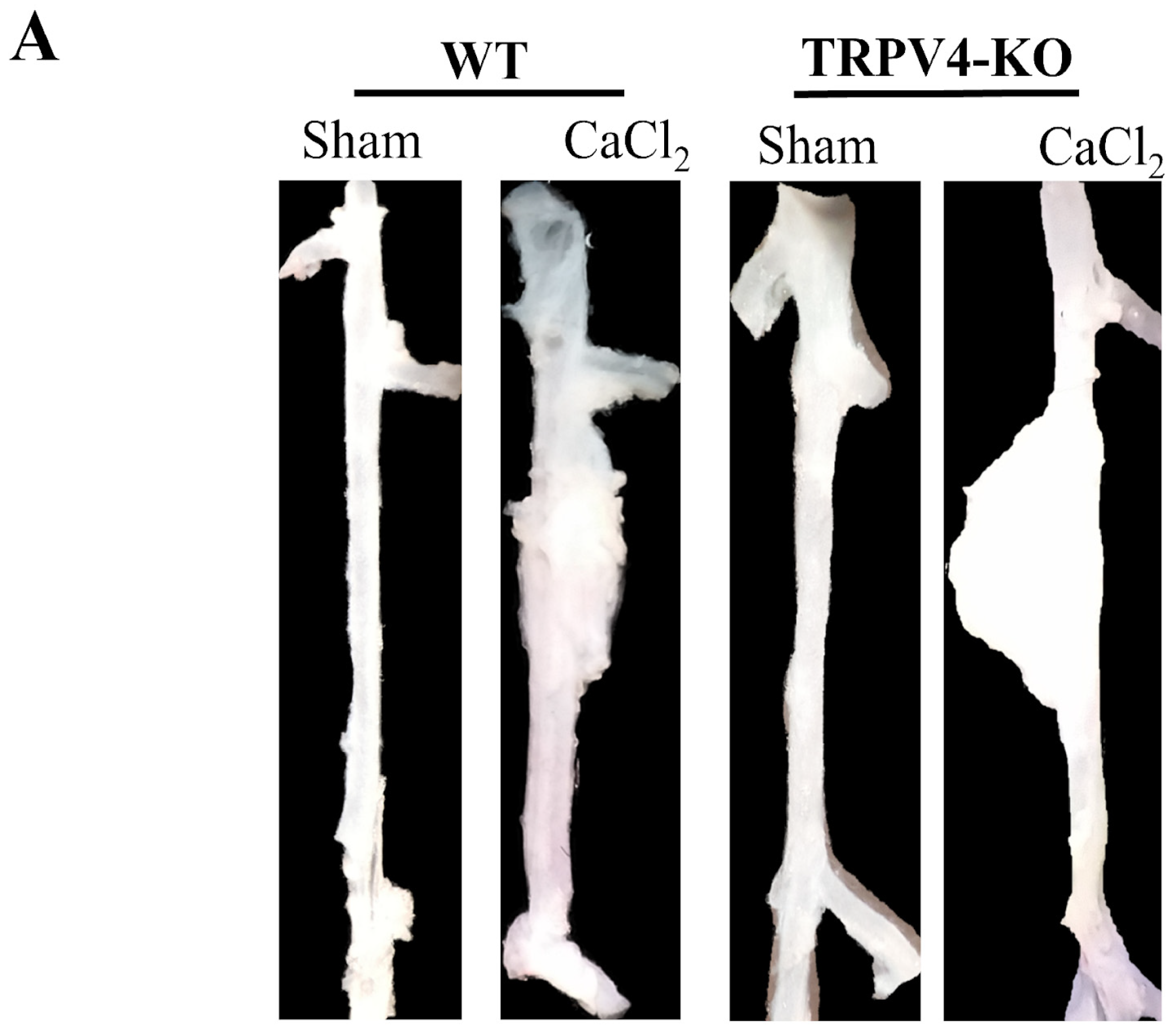 Applsci 14 02566 g002a