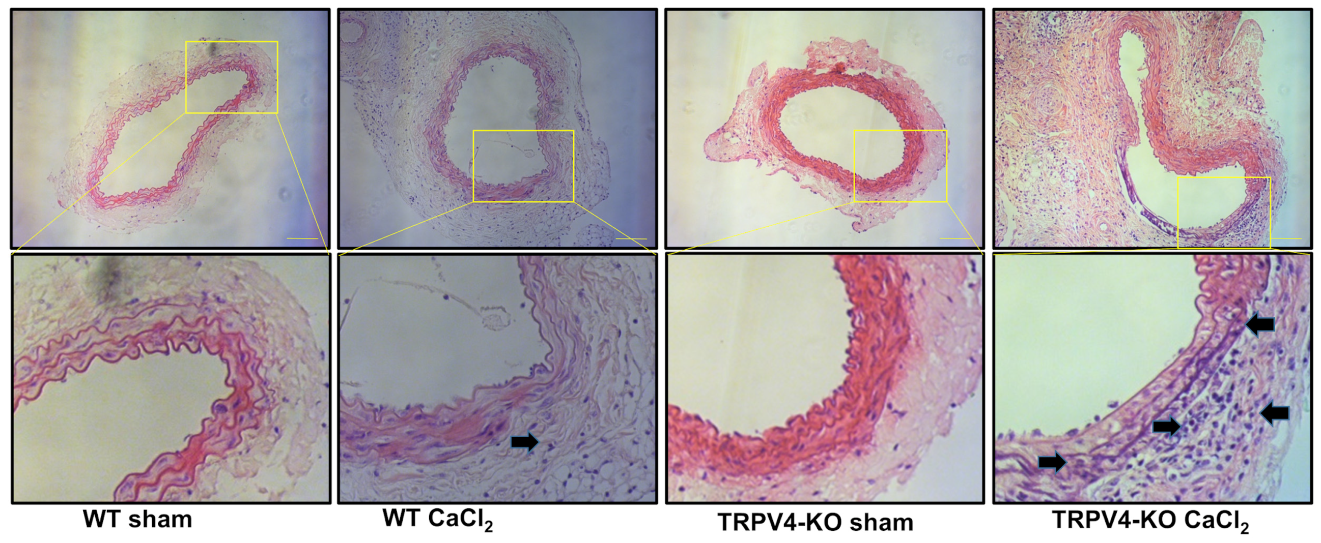 Applsci 14 02566 g003