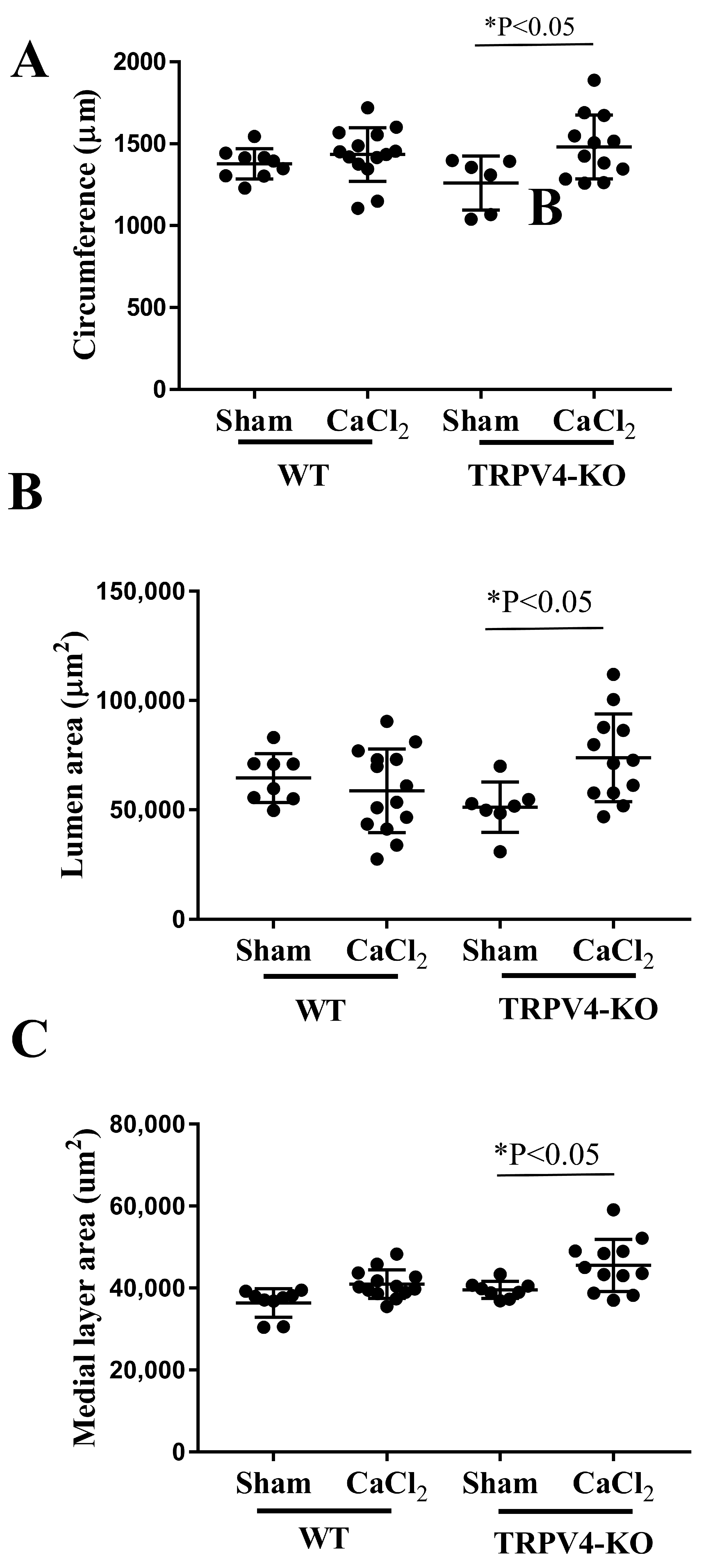 Applsci 14 02566 g005