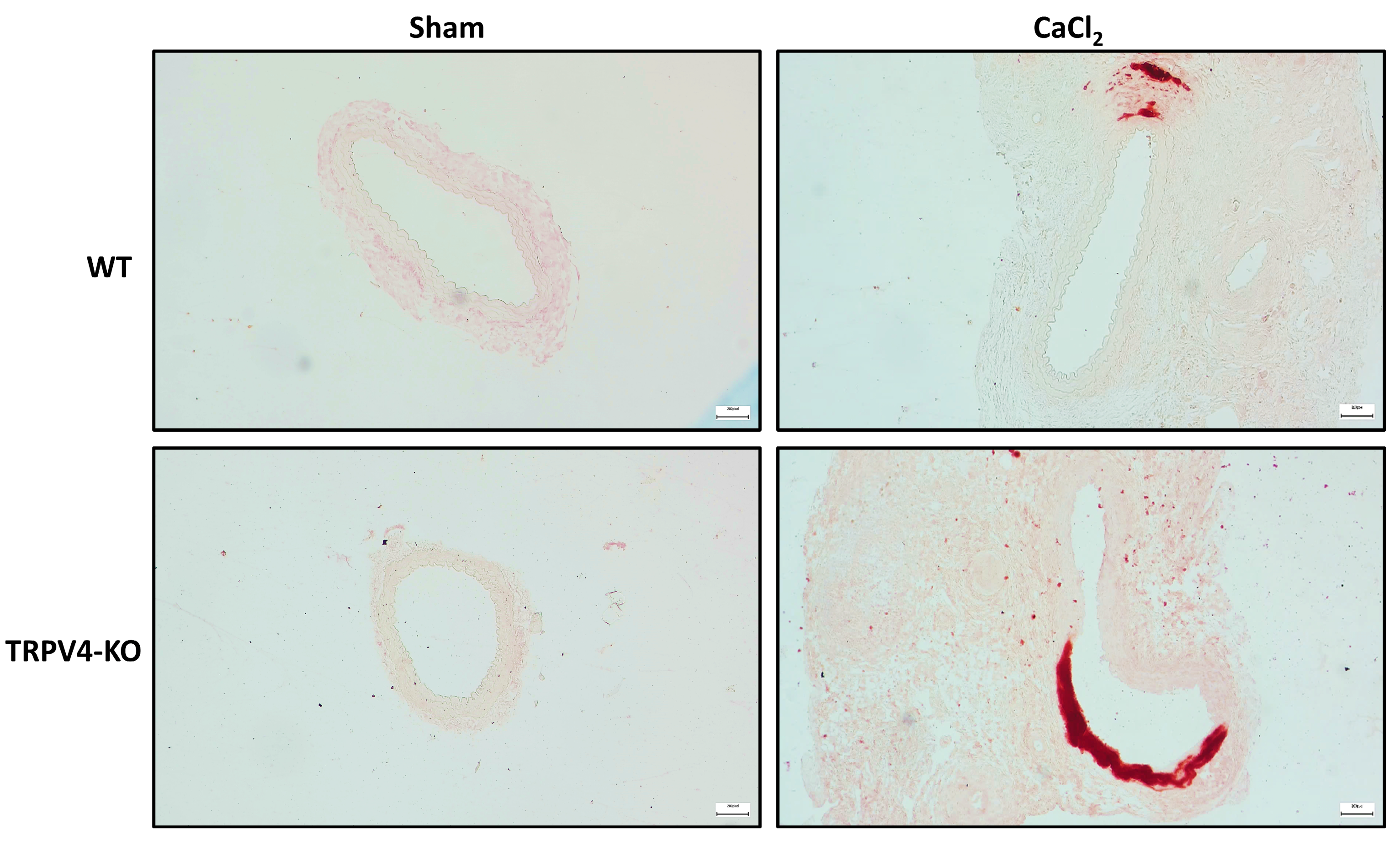 Applsci 14 02566 g006