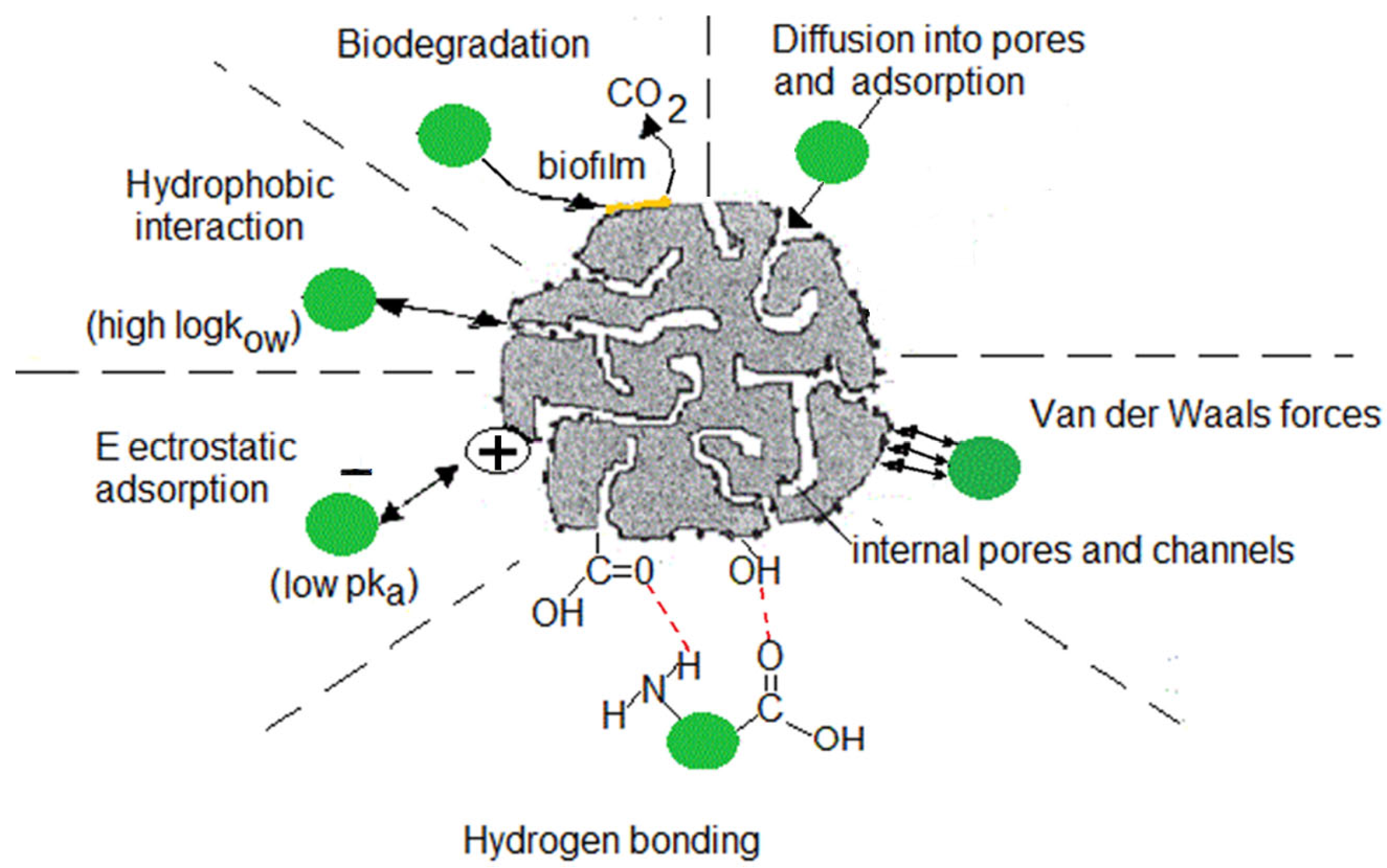 Applsci 14 02574 g002
