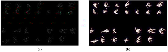 Applsci 14 02575 g005