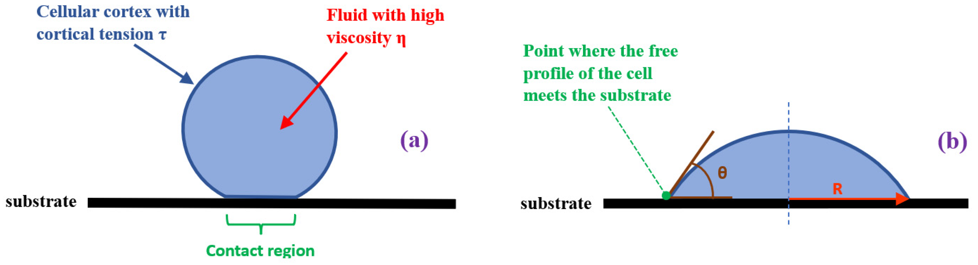 Applsci 14 02596 g003 Applsci 14 02596 g003