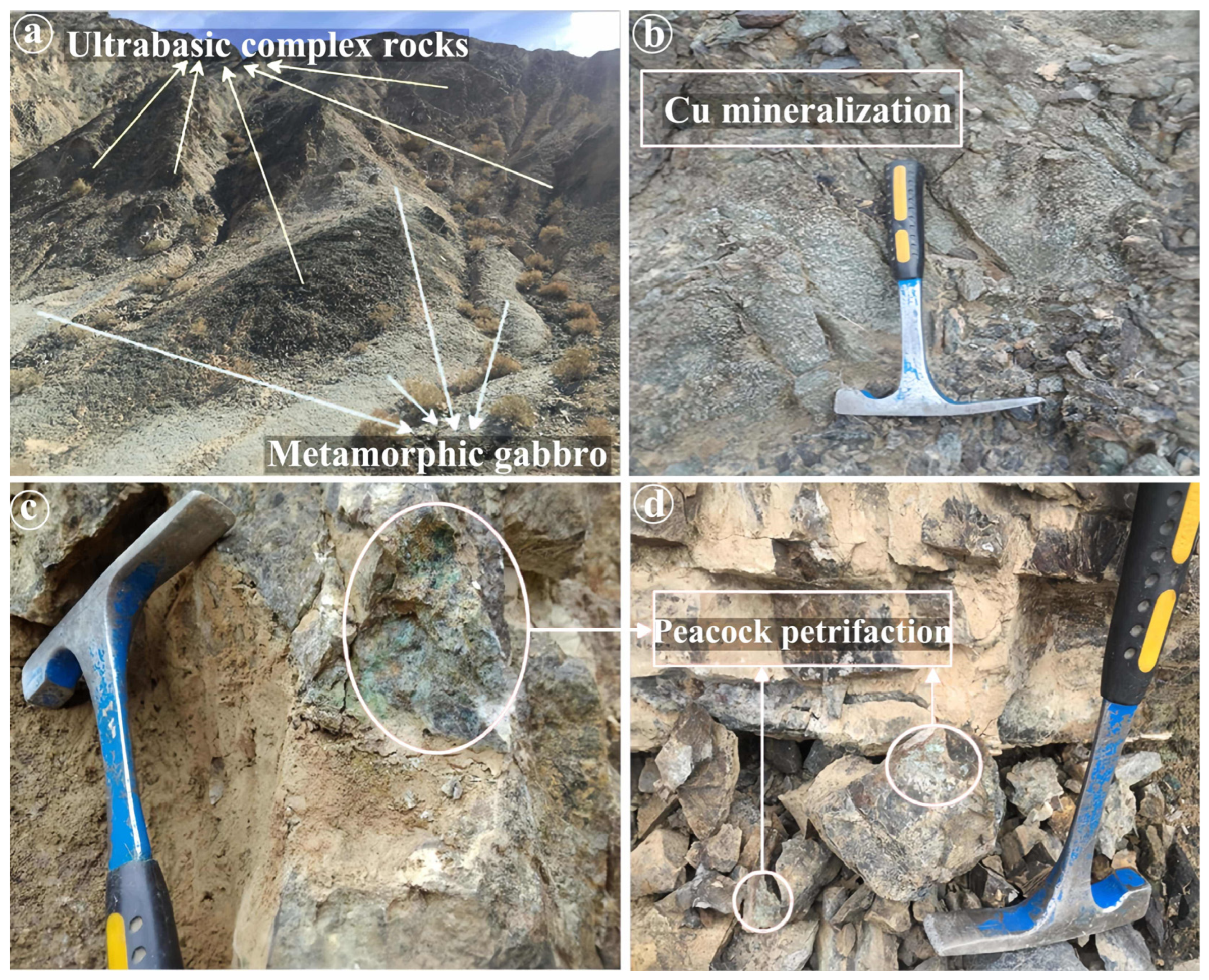 Applsci 14 02597 g014