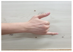 Applsci 14 02607 i003