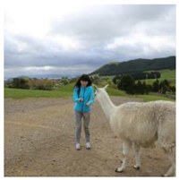 Applsci 14 02657 i001