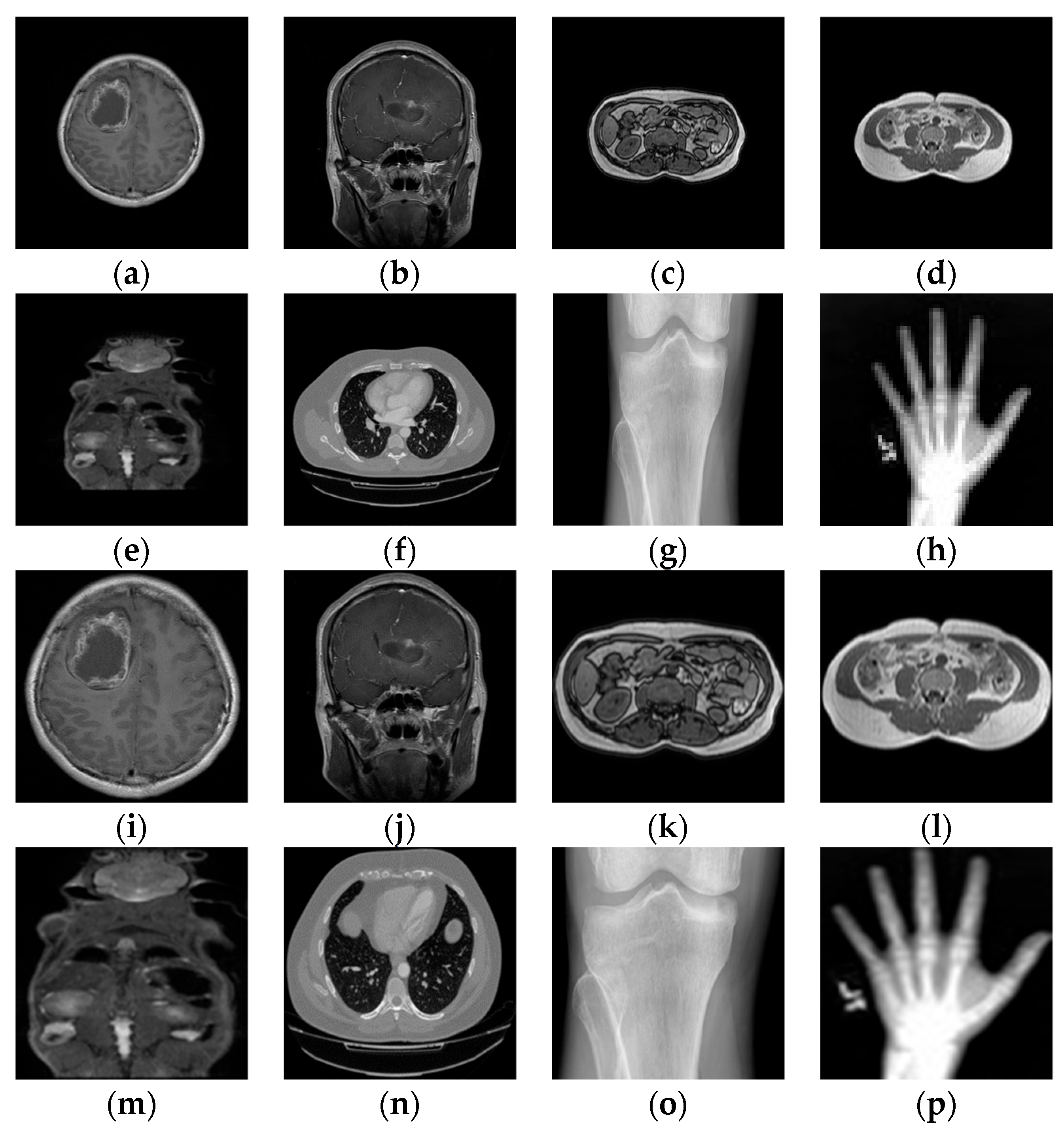 Applsci 14 02664 g007