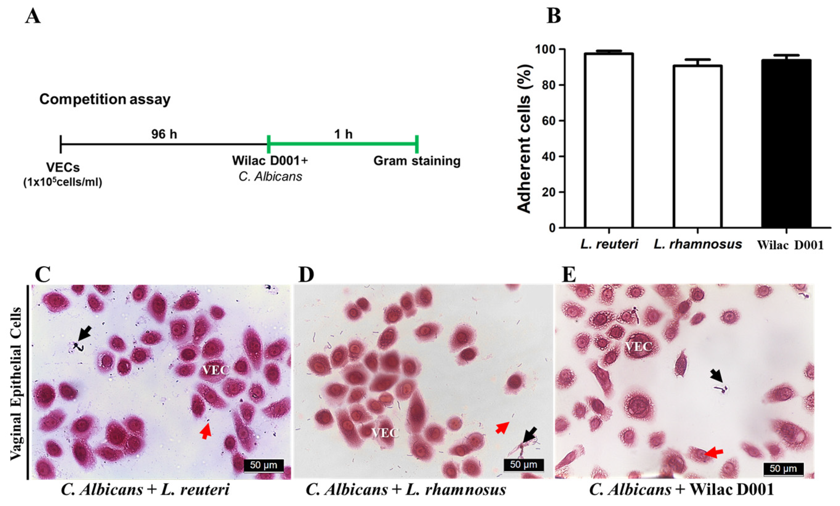 Applsci 14 02676 g002 Applsci 14 02676 g002