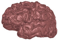 Applsci 14 02681 i003