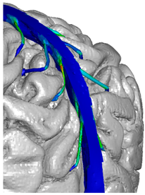 Applsci 14 02681 i023