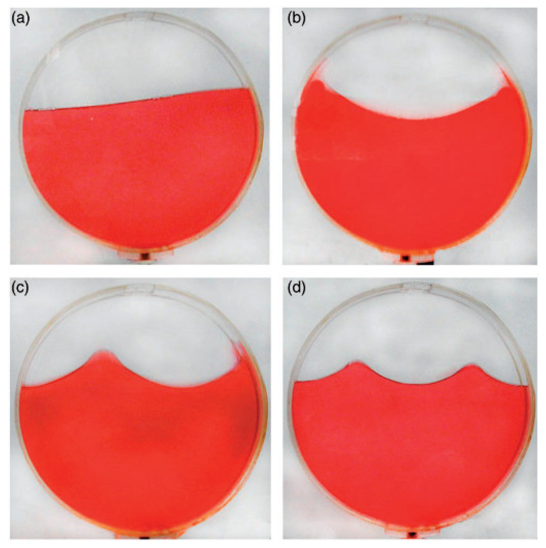 Applsci 14 02688 g008