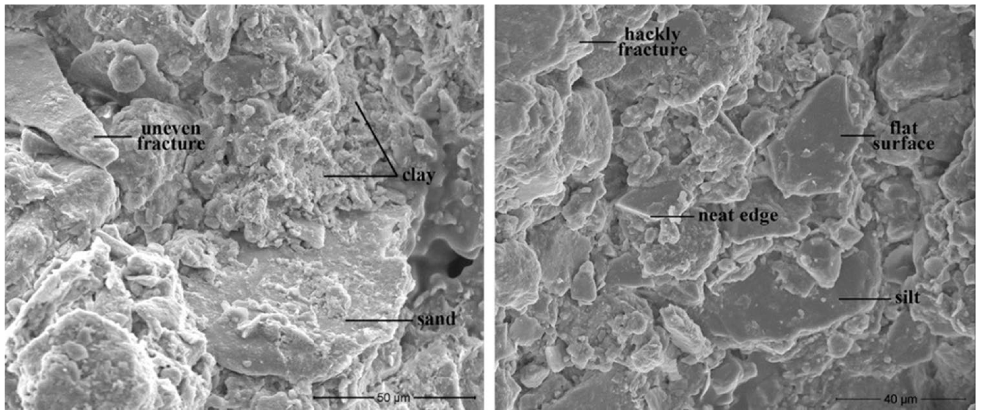 Applsci 14 02735 g007