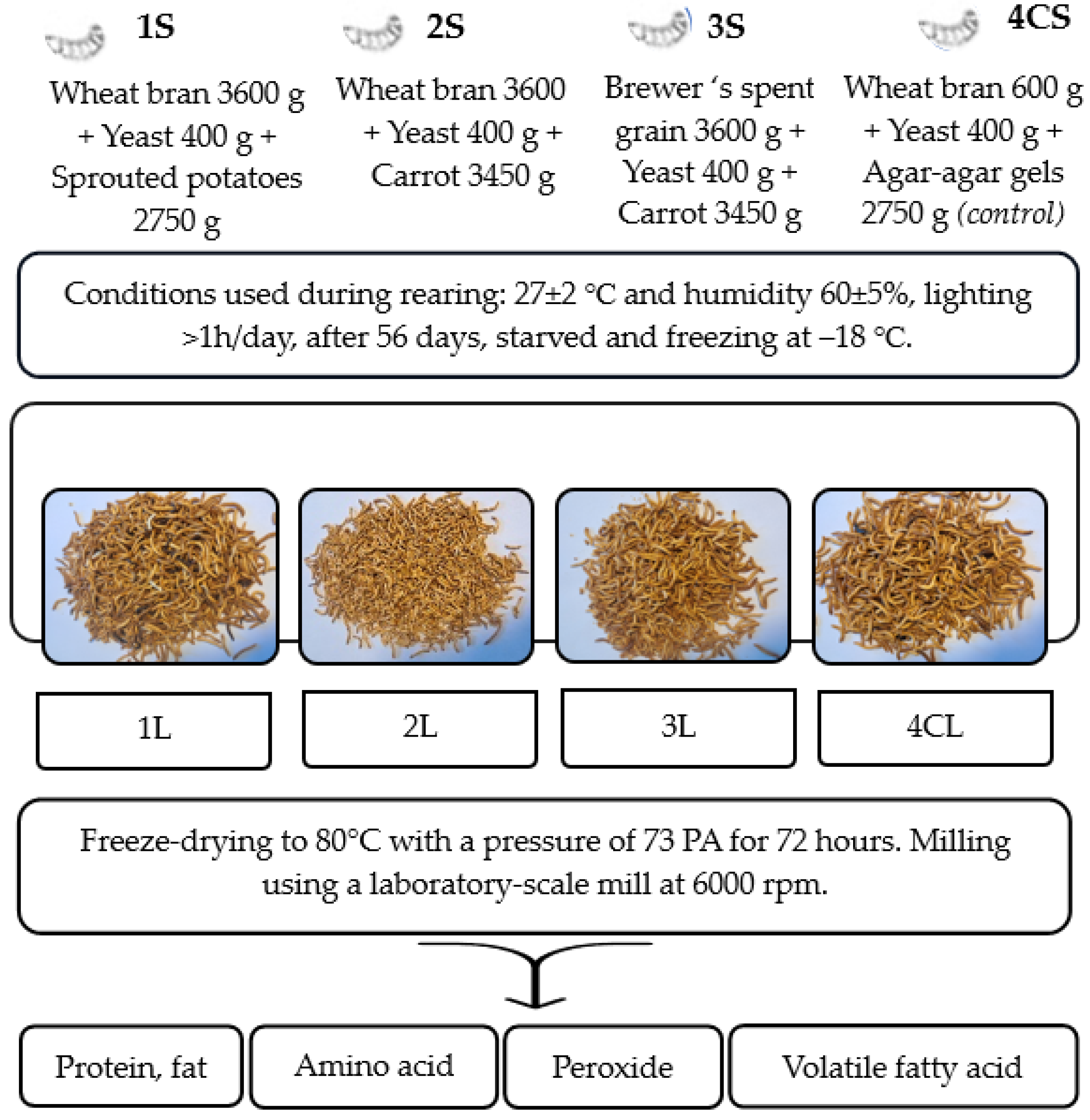 Applsci 14 02744 g001
