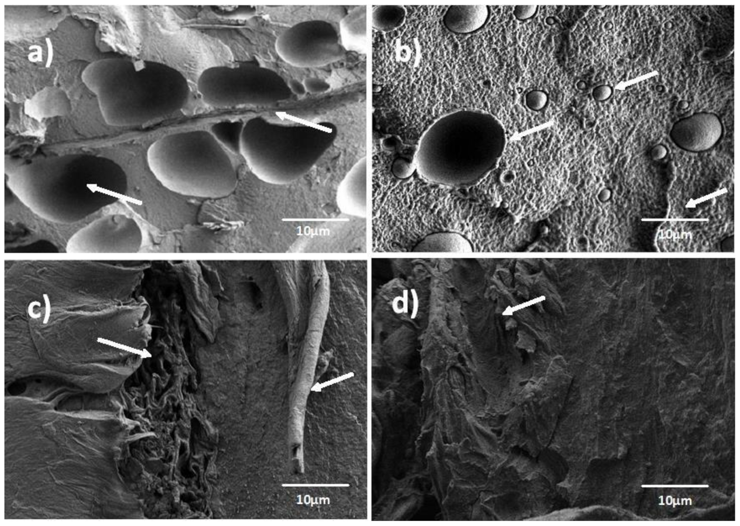 Applsci 14 02751 g001