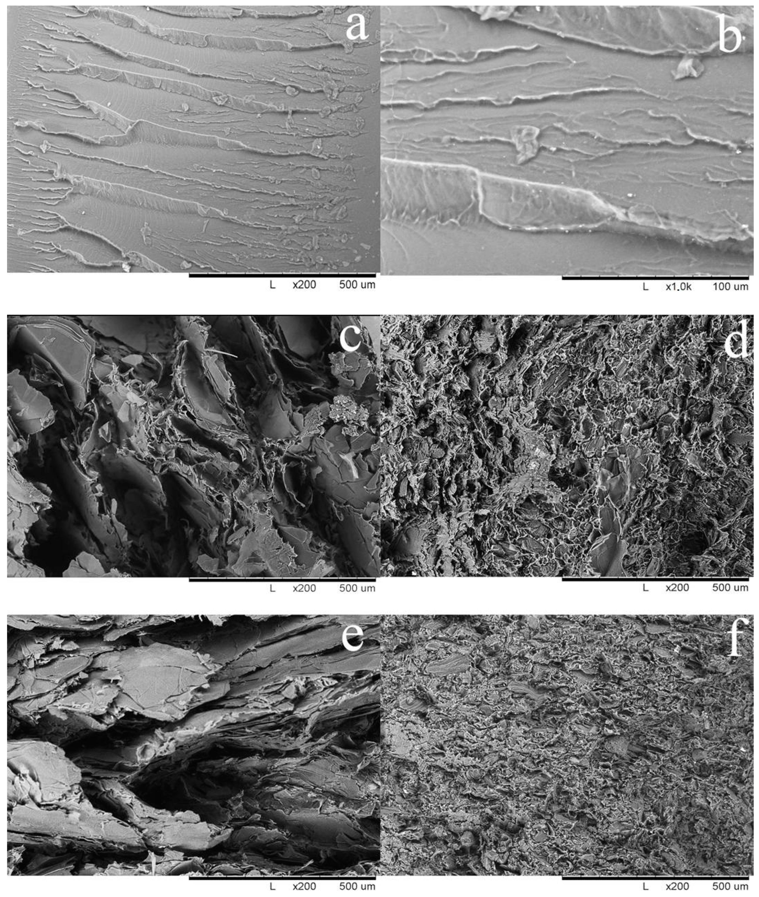 Applsci 14 02756 g003 Applsci 14 02756 g003