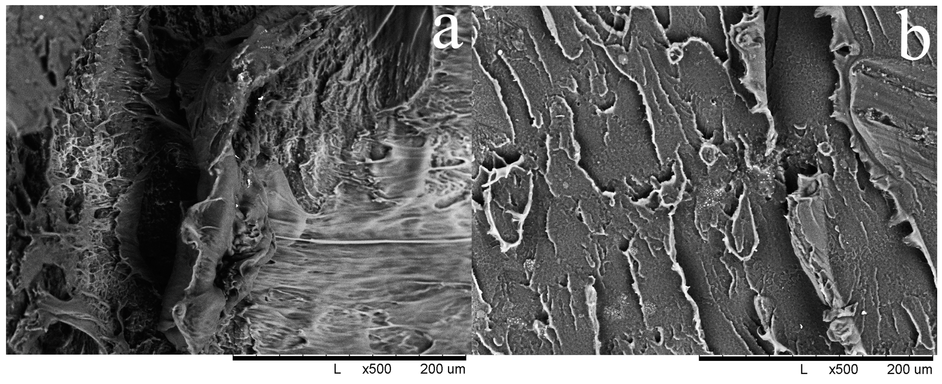 Applsci 14 02756 g004 Applsci 14 02756 g004