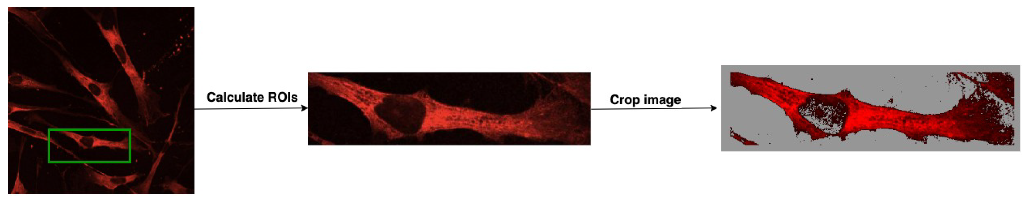 Applsci 14 02809 g003 Applsci 14 02809 g003