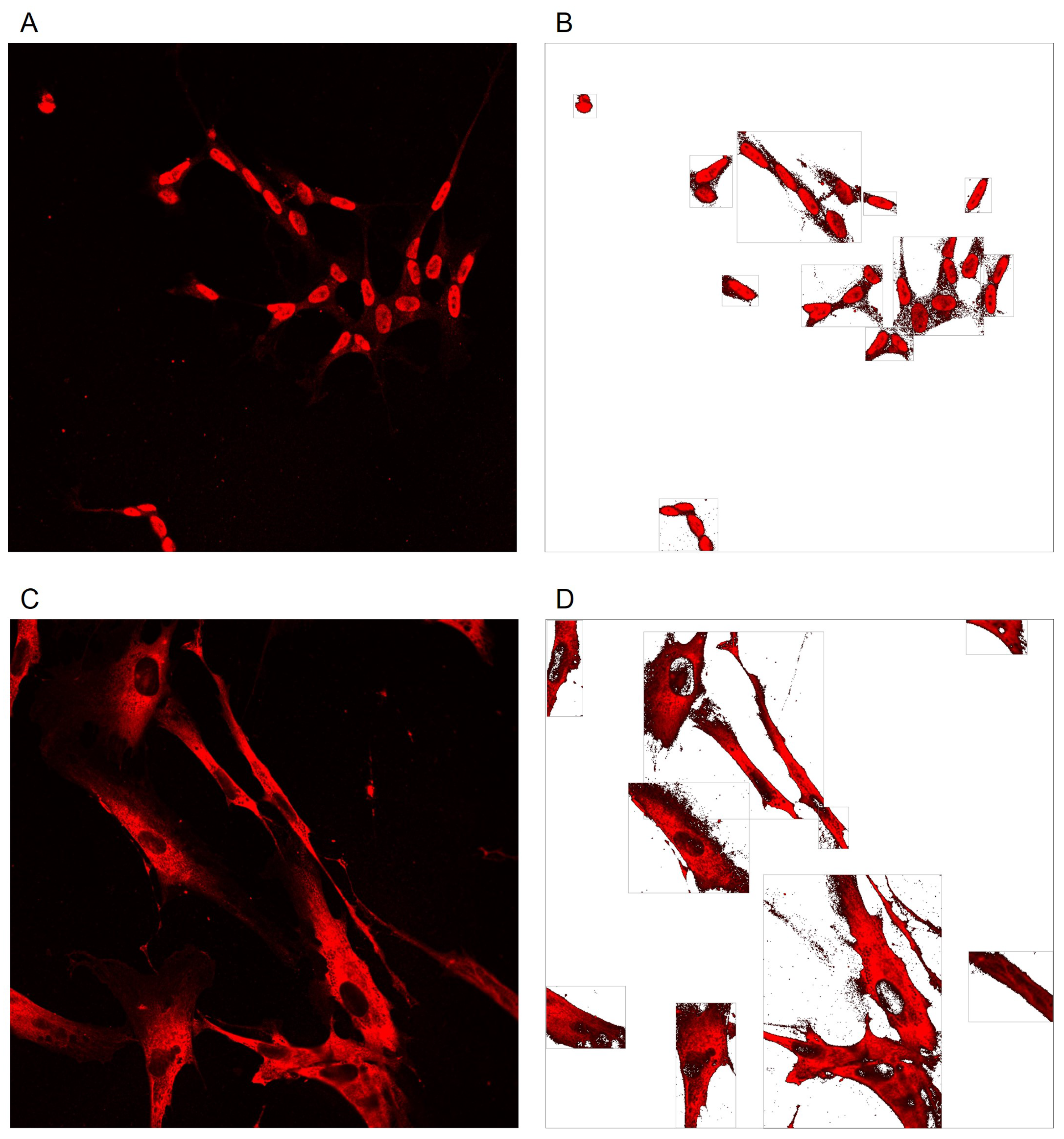 Applsci 14 02809 g004 Applsci 14 02809 g004