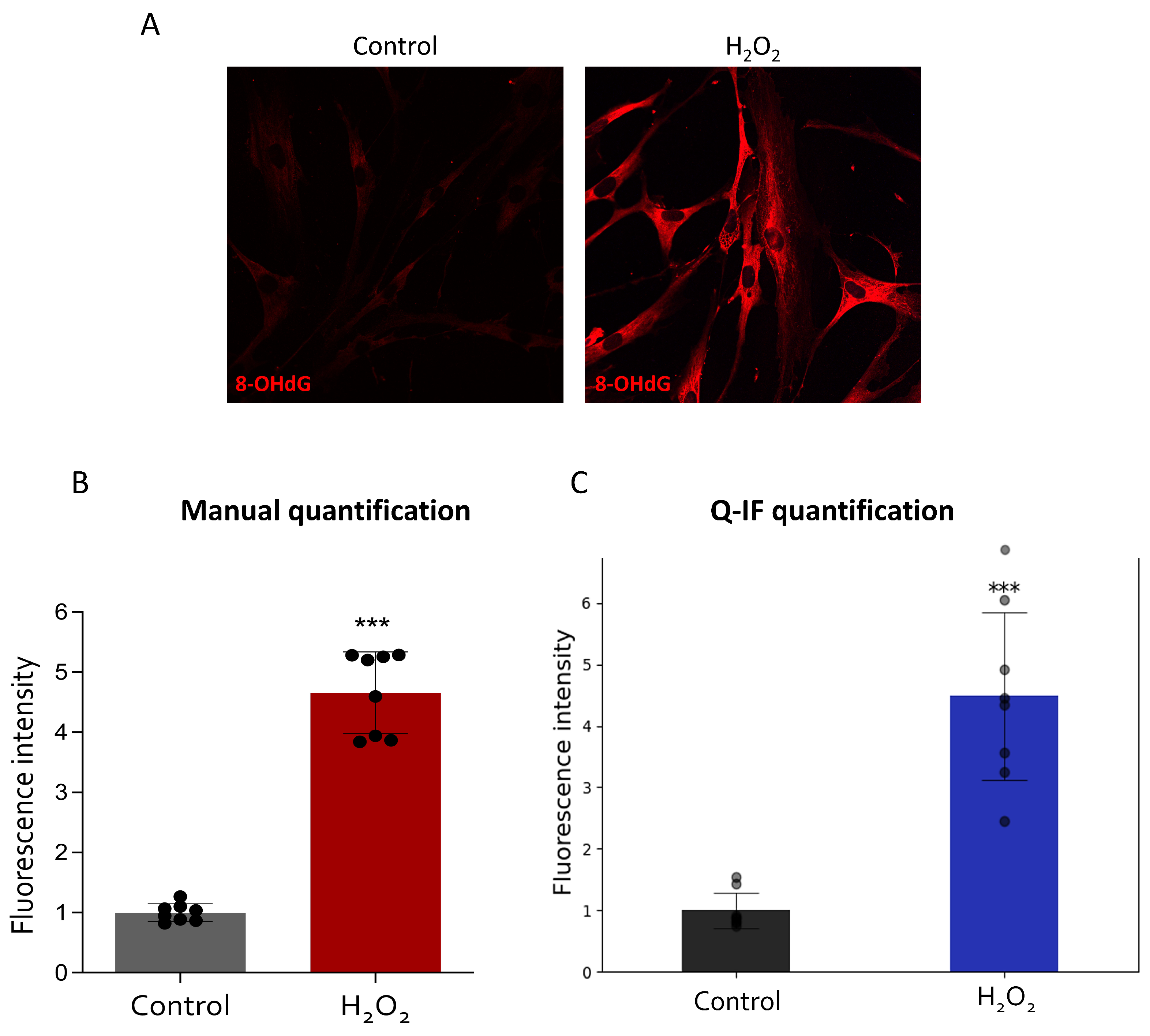 Applsci 14 02809 g006 Applsci 14 02809 g006