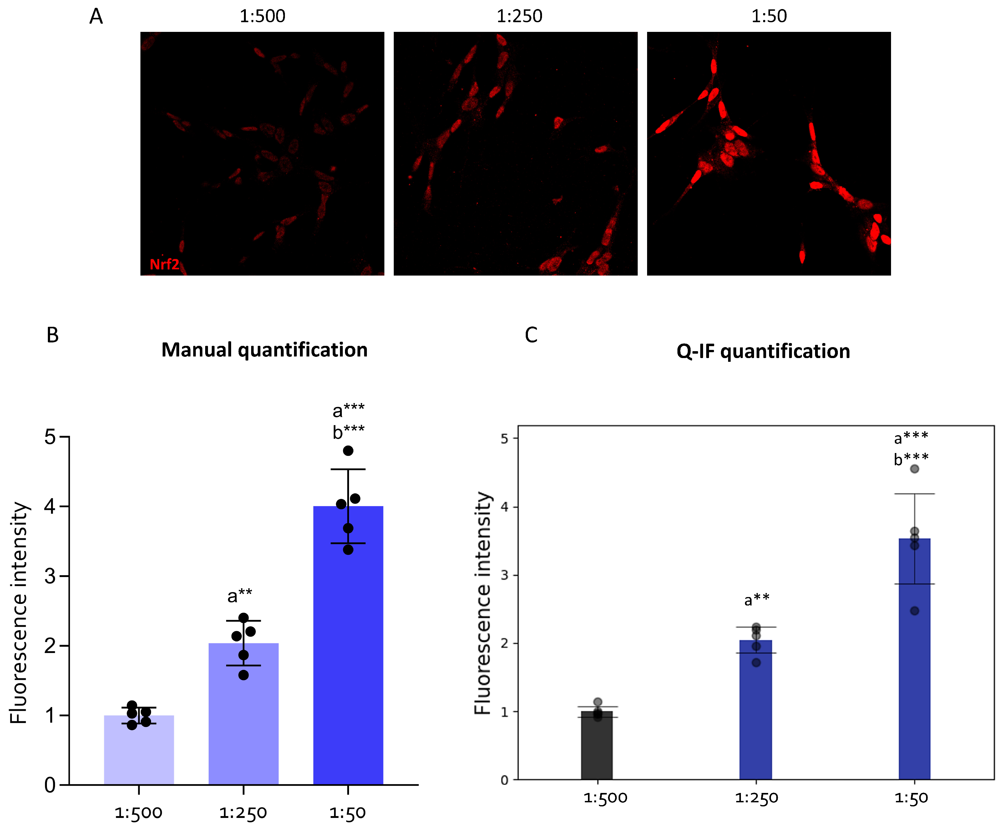 Applsci 14 02809 g008 Applsci 14 02809 g008