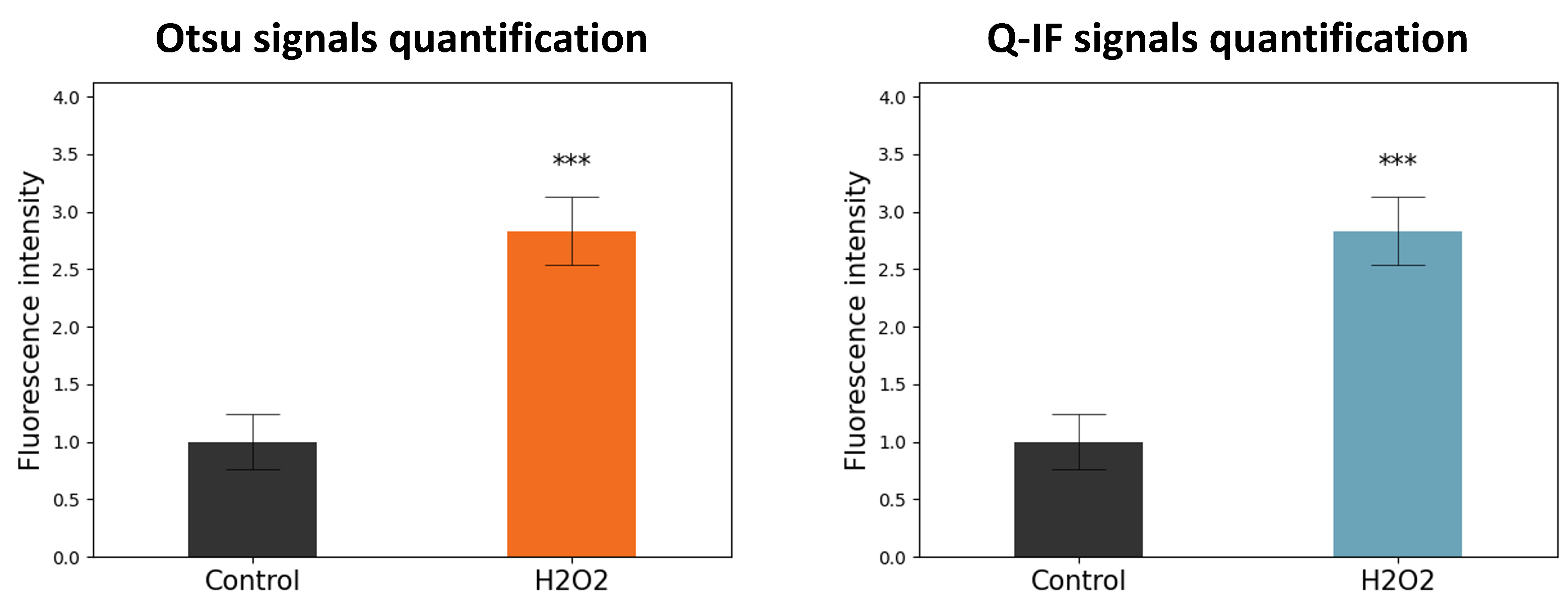 Applsci 14 02809 g010 Applsci 14 02809 g010