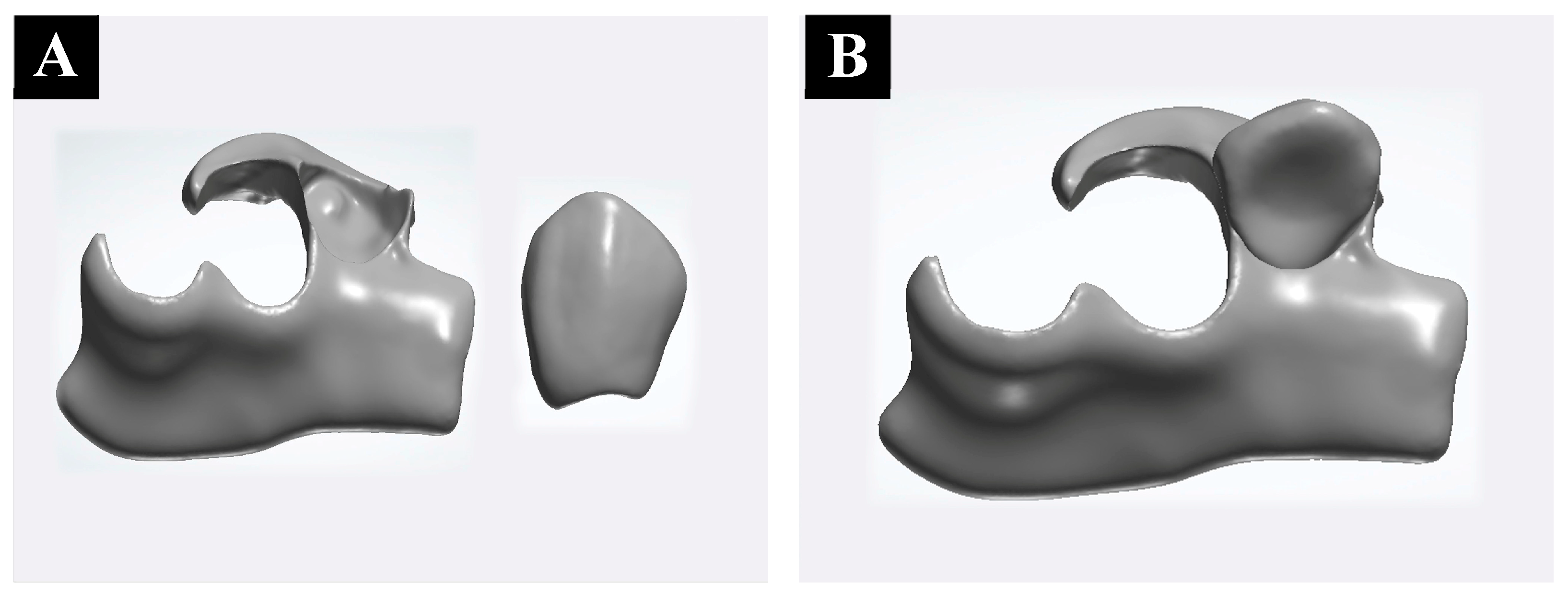 Applsci 14 02838 g003