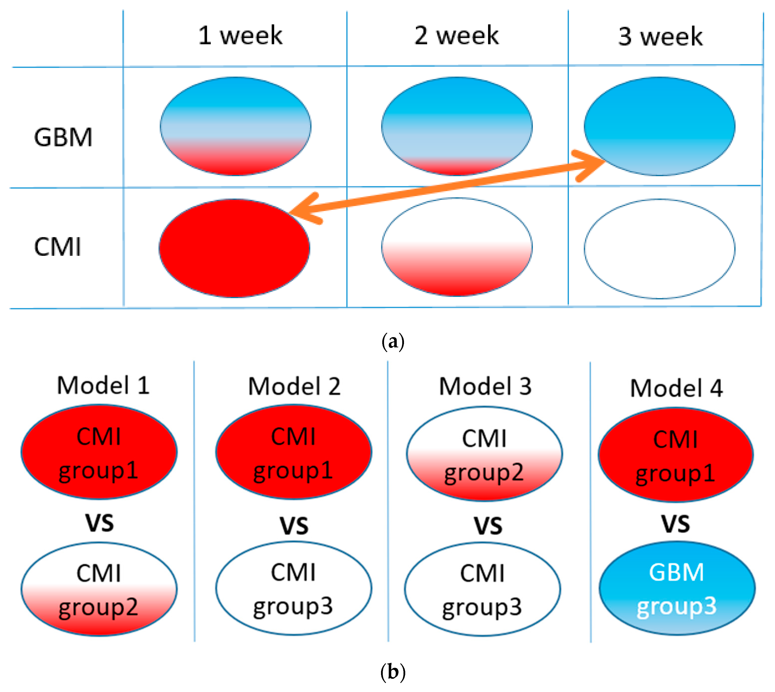 Applsci 14 02872 g001