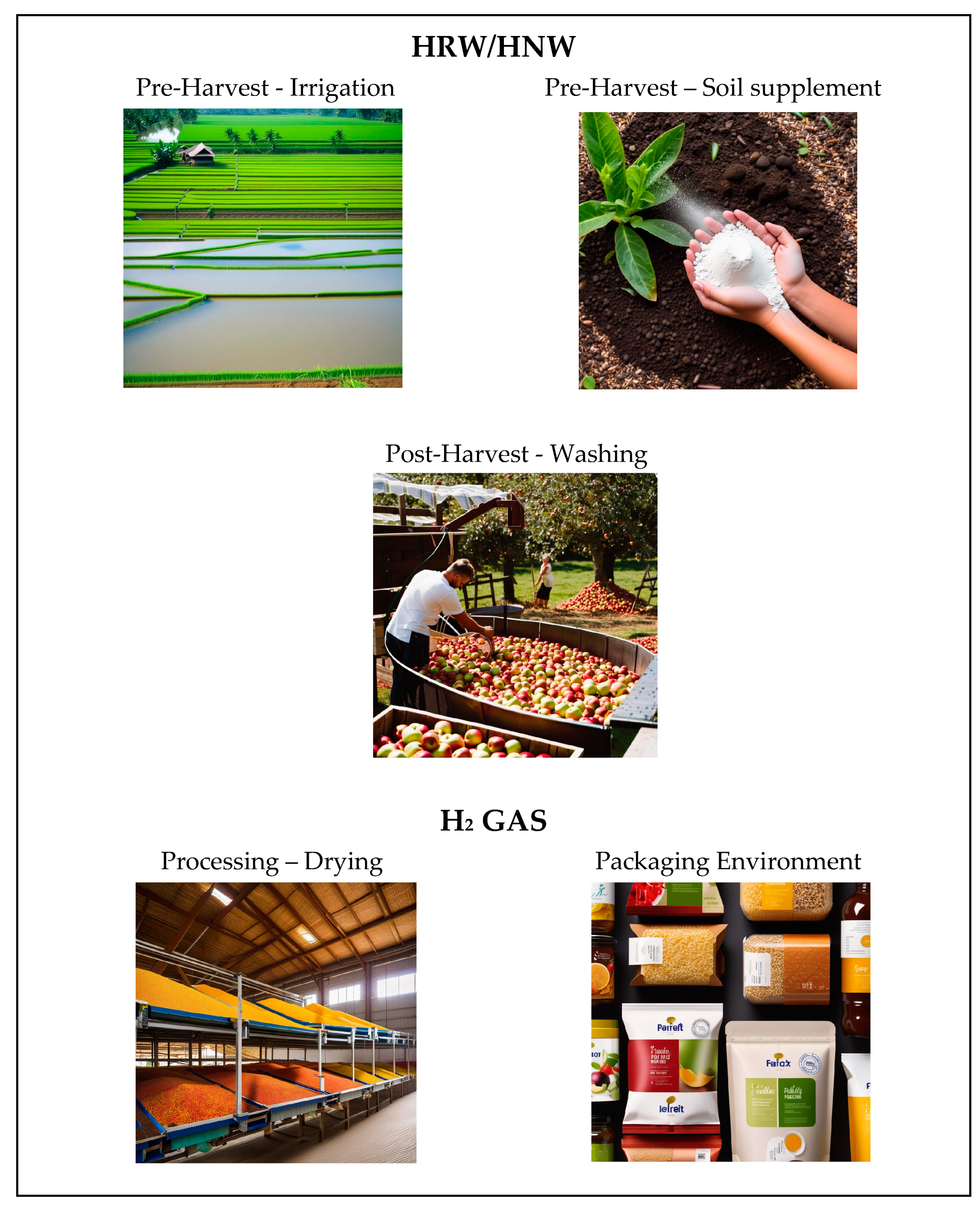 Applsci 14 02877 g001