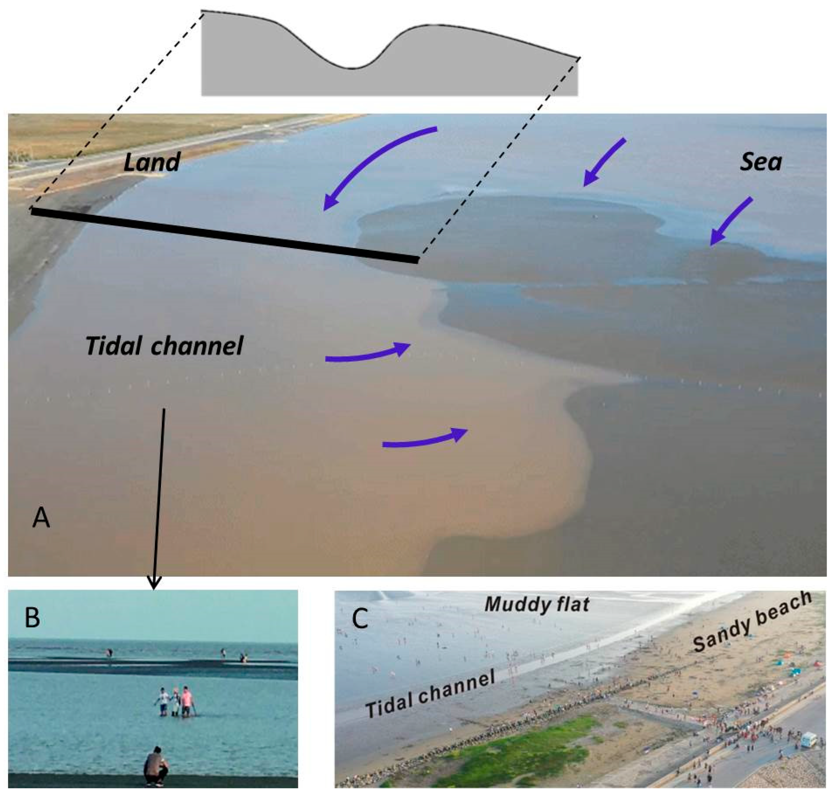 Applsci 14 02879 g001