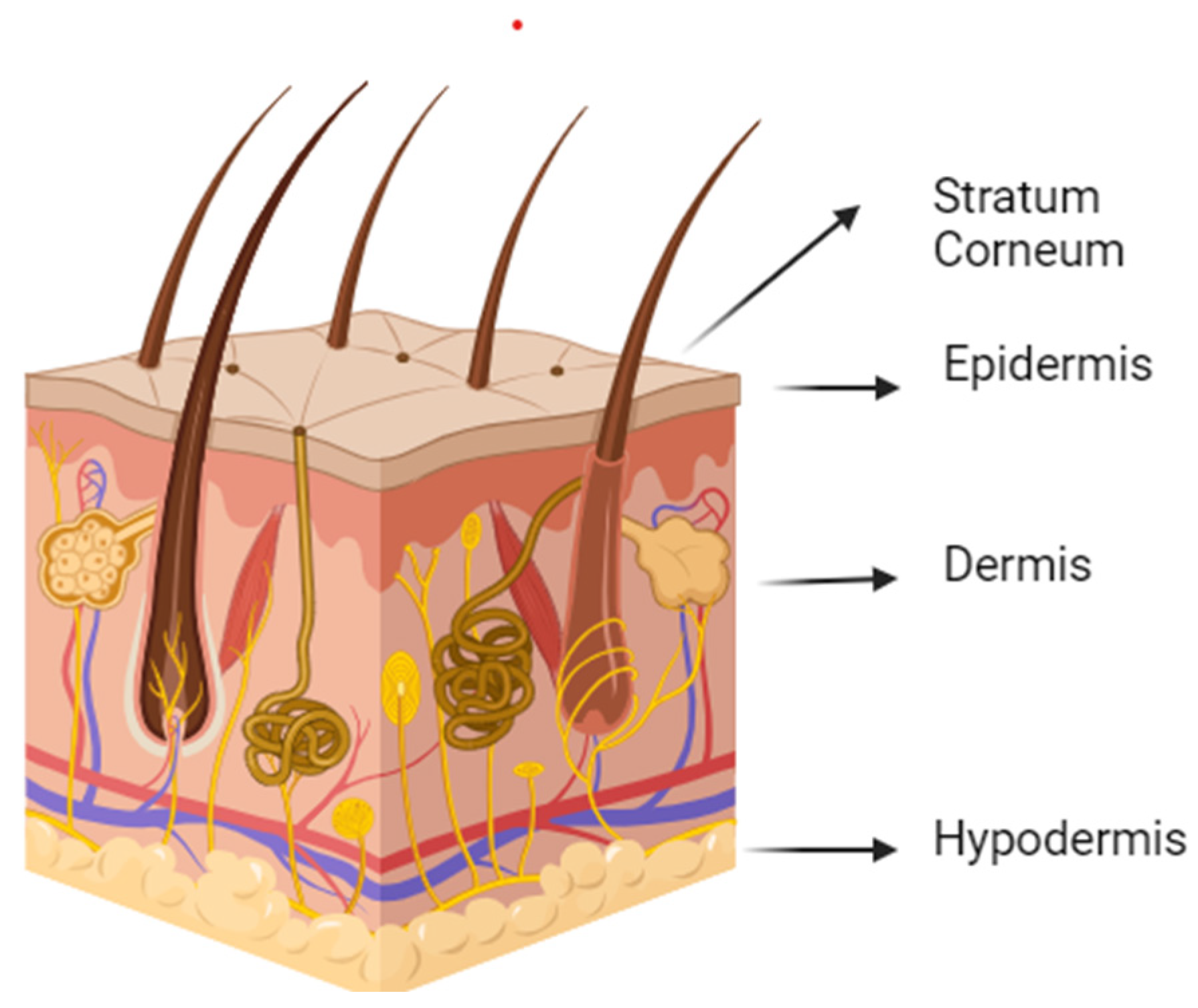 Applsci 14 02926 g003