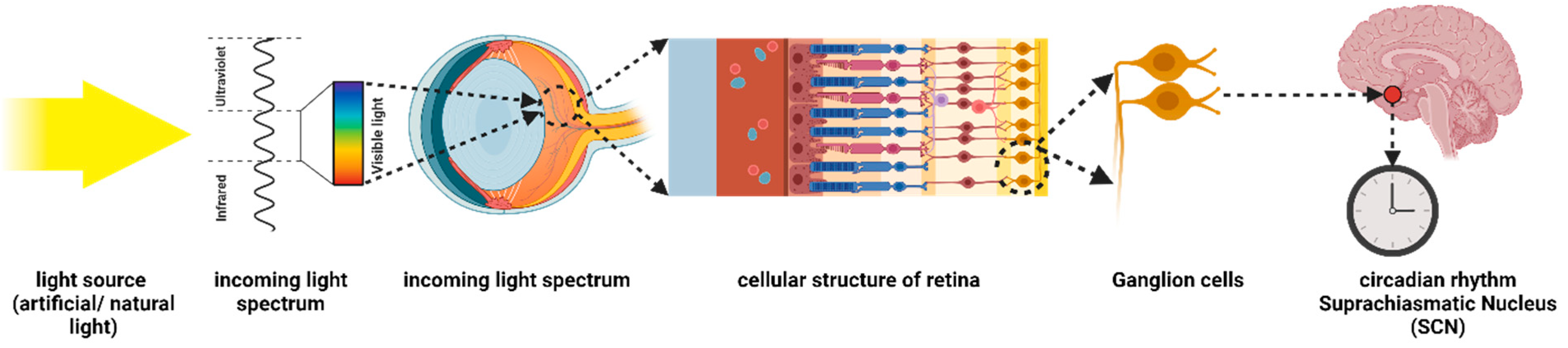 Applsci 14 02945 g001