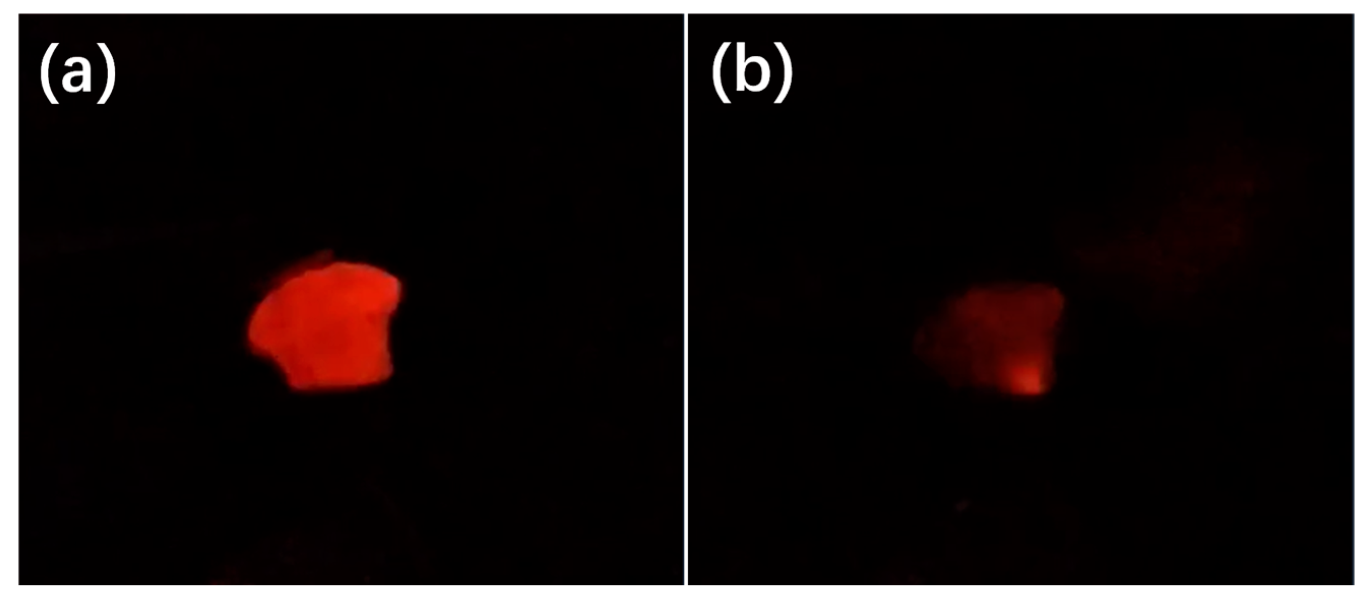 Applsci 14 02947 g007 Applsci 14 02947 g007