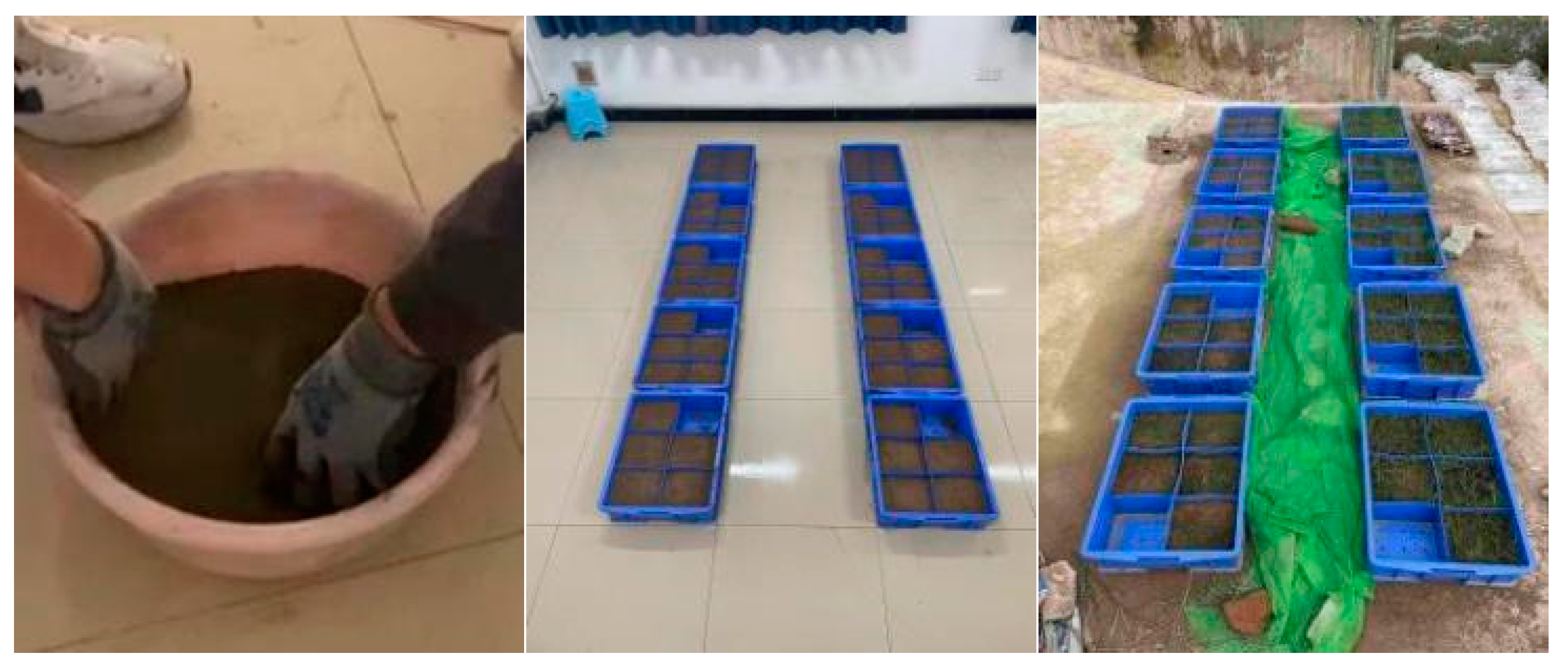 Applsci 14 02957 g002