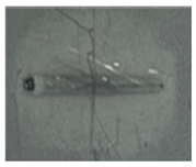 Applsci 14 02987 i002