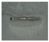 Applsci 14 02987 i005