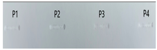 Applsci 14 02987 i028