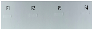 Applsci 14 02987 i029