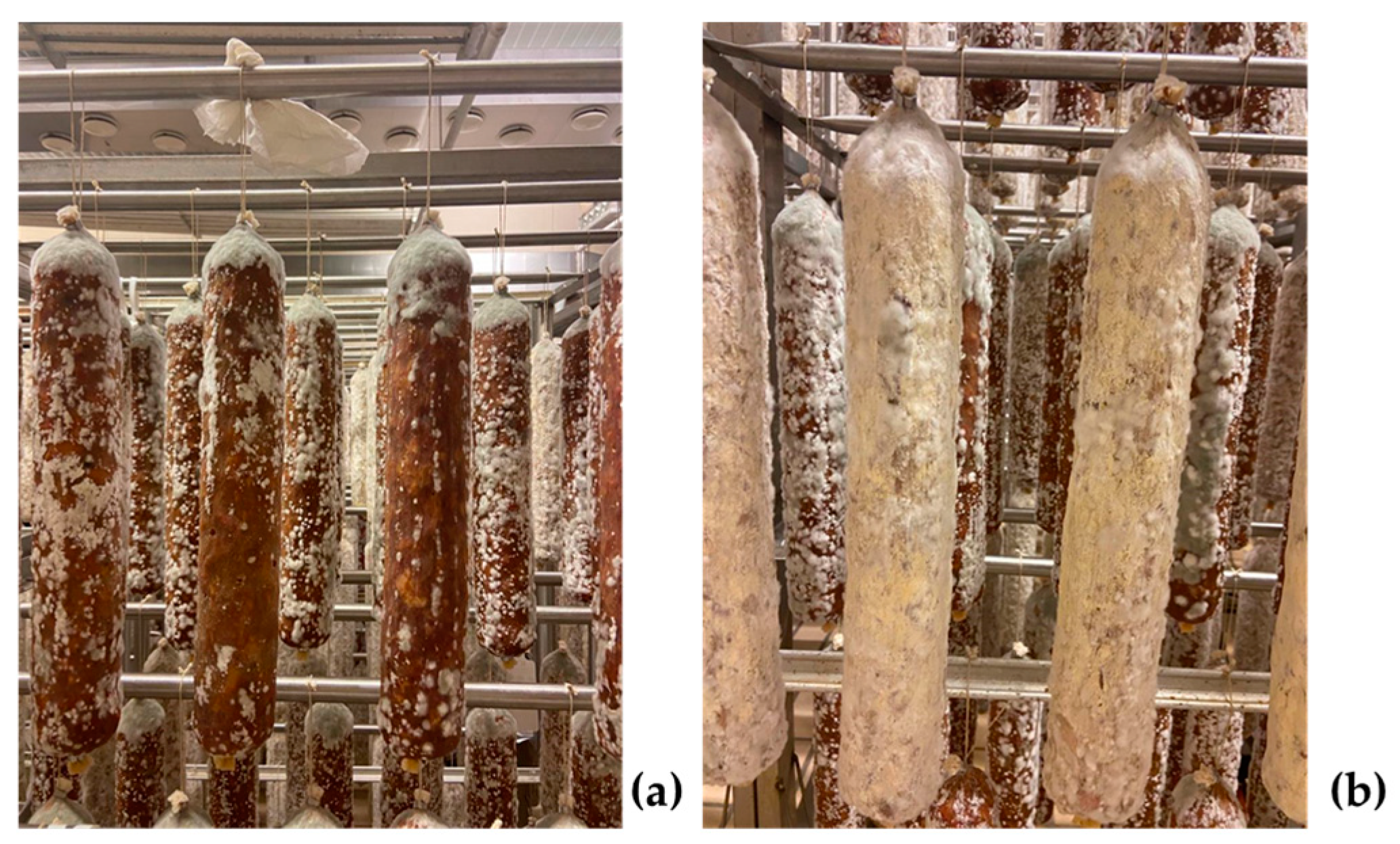 Applsci 14 03035 g002