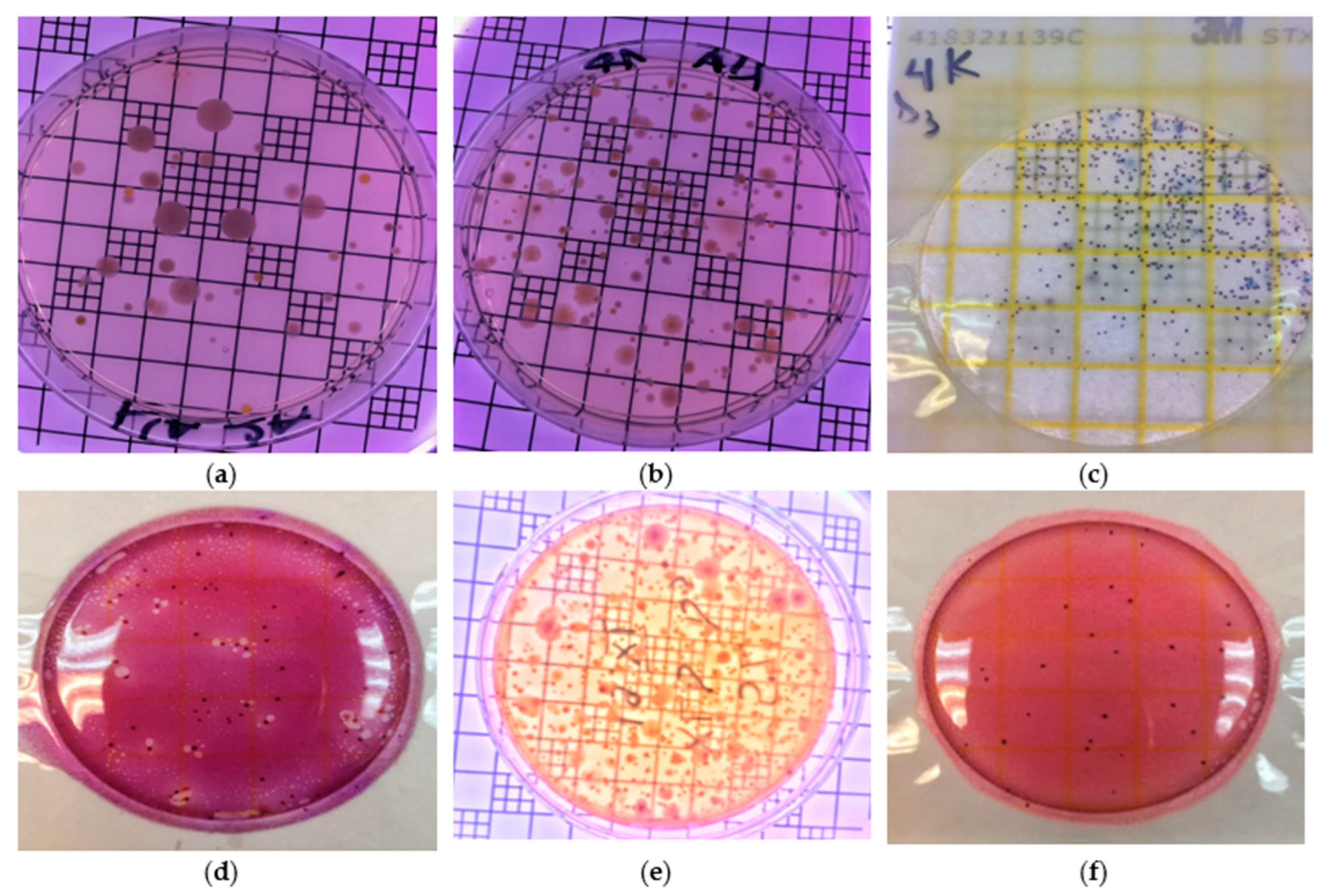 Applsci 14 03068 g004