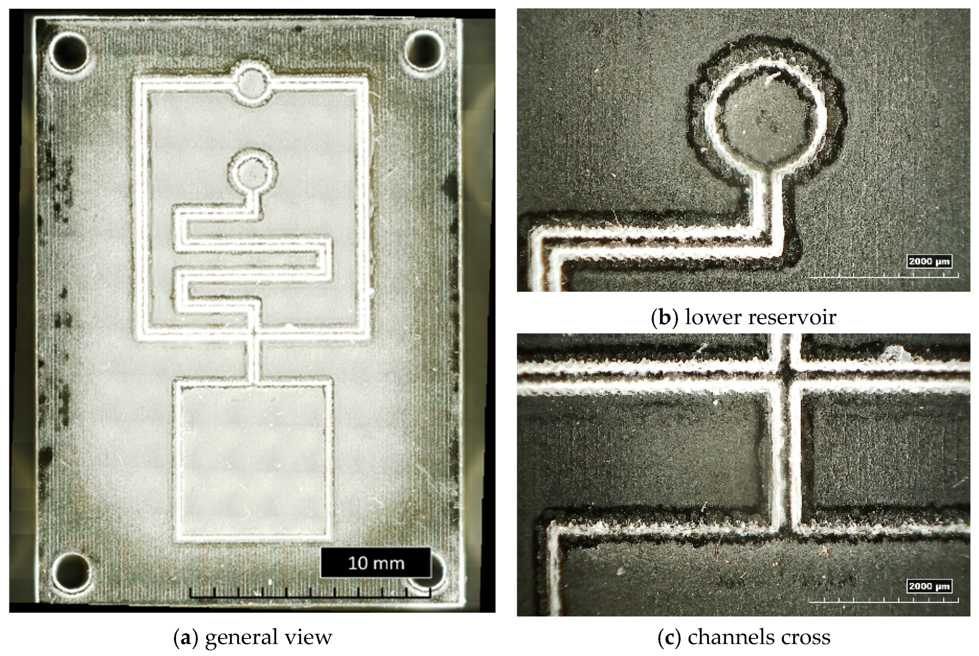 Applsci 14 03157 g009 Applsci 14 03157 g009