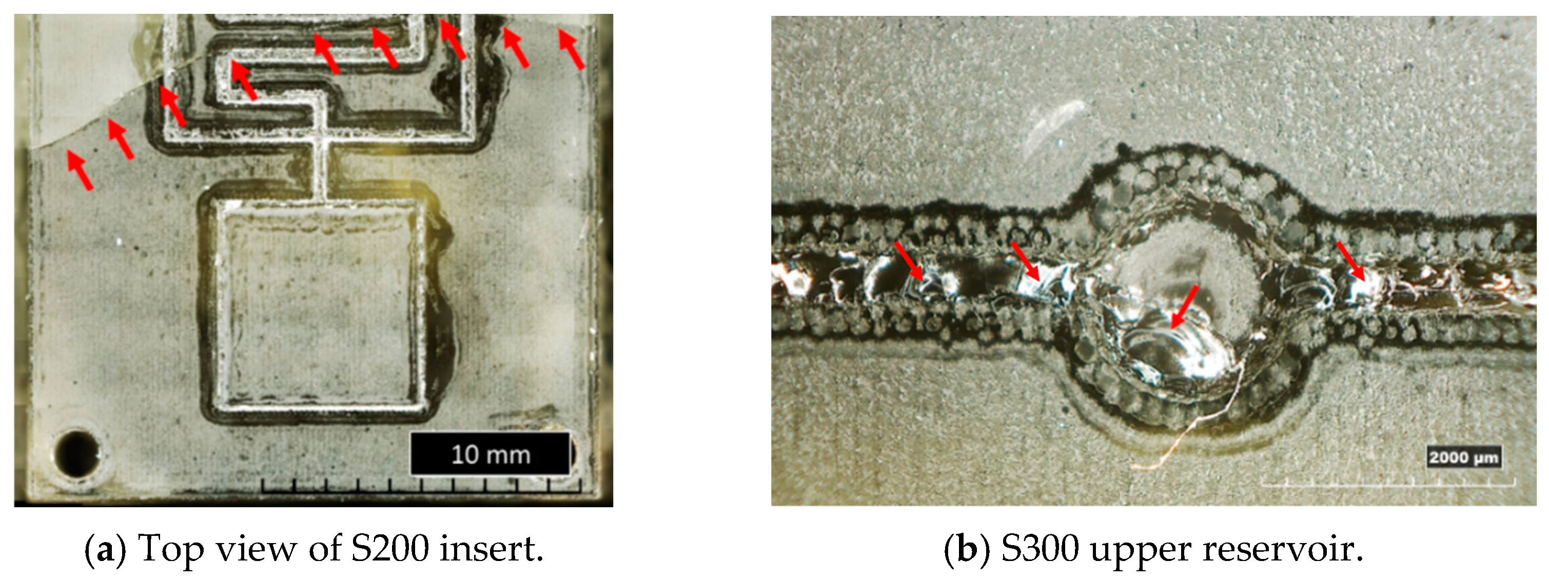 Applsci 14 03157 g010a Applsci 14 03157 g010a