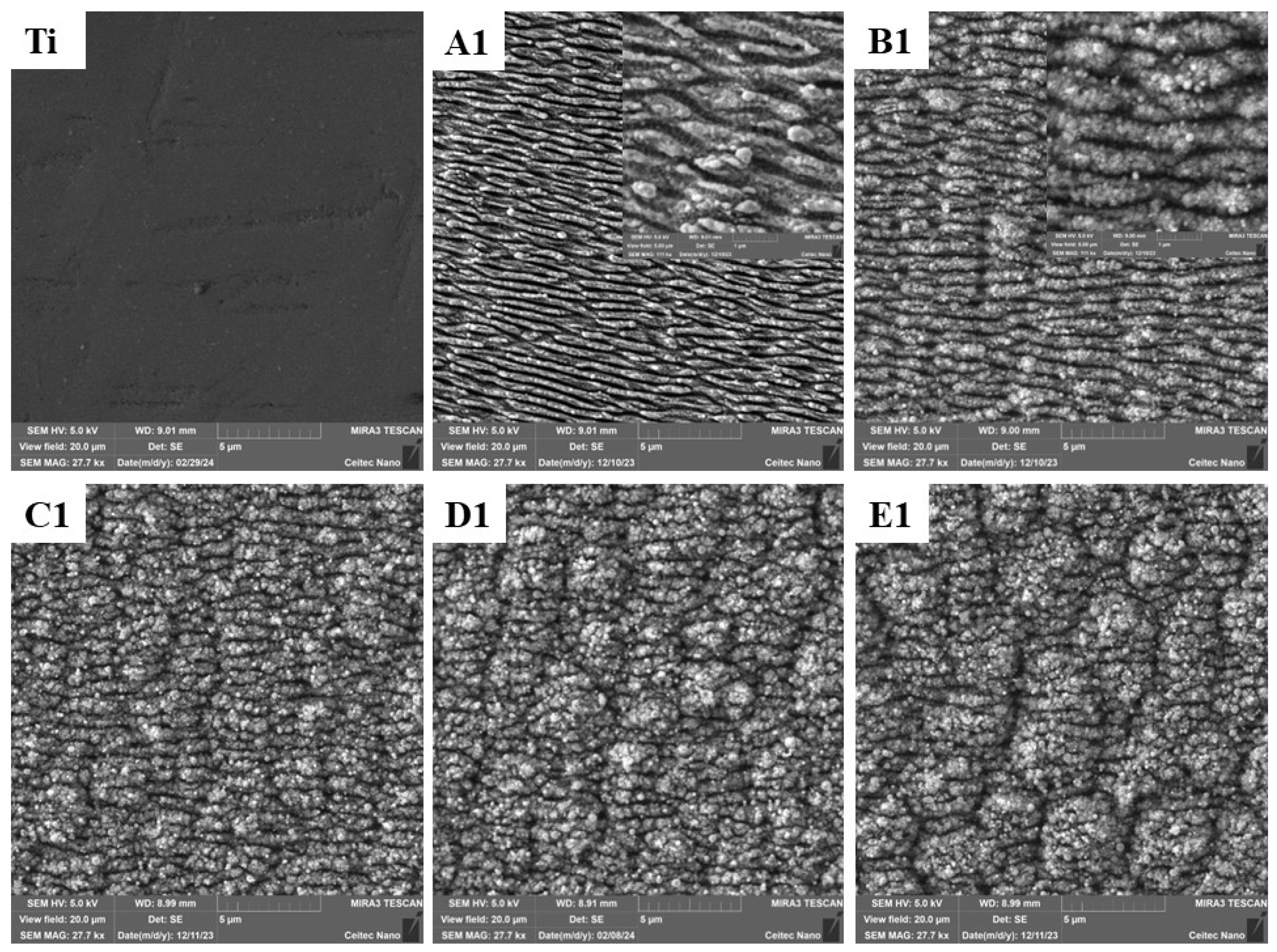 Applsci 14 03164 g002 Applsci 14 03164 g002